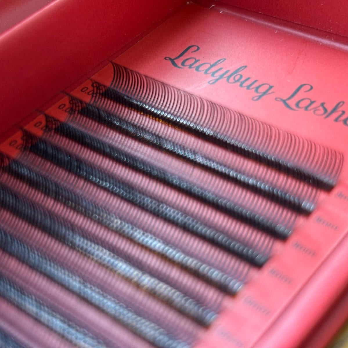 ladybuglashes lashglue lashtrays lashadhesive glueretention cloverlashes wlashes yylashes premades promades lashes