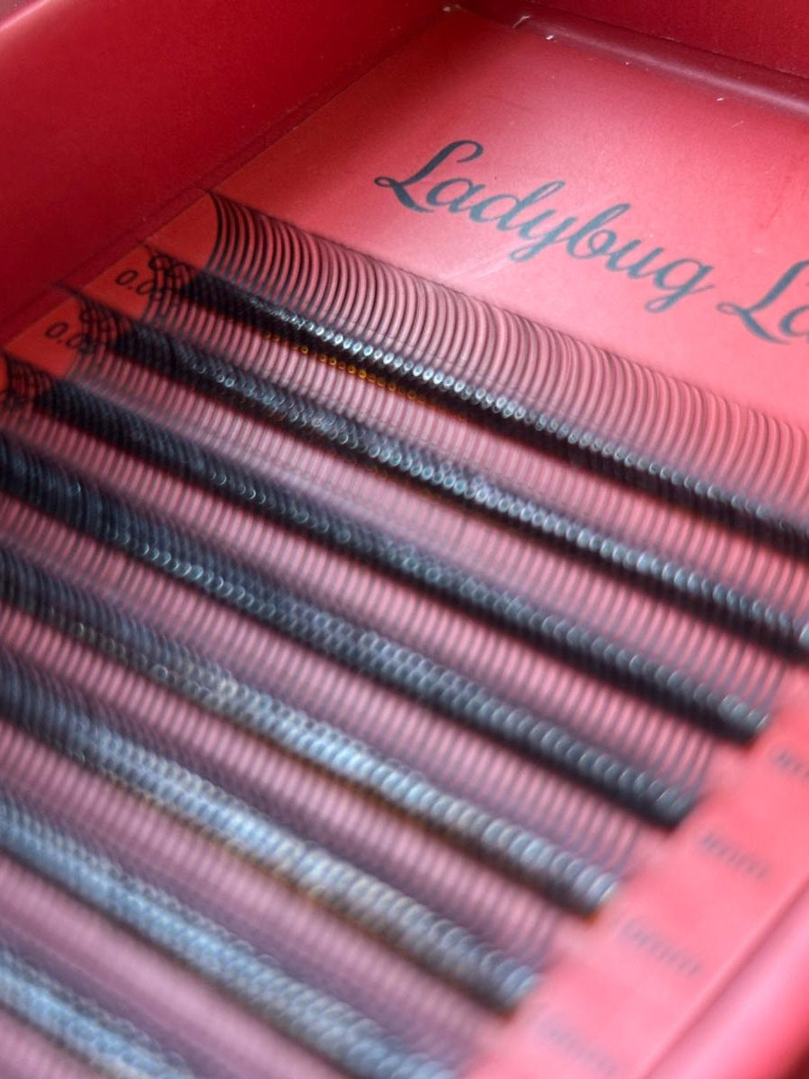 ladybuglashes lashglue lashtrays lashadhesive glueretention cloverlashes wlashes yylashes premades promades lashes