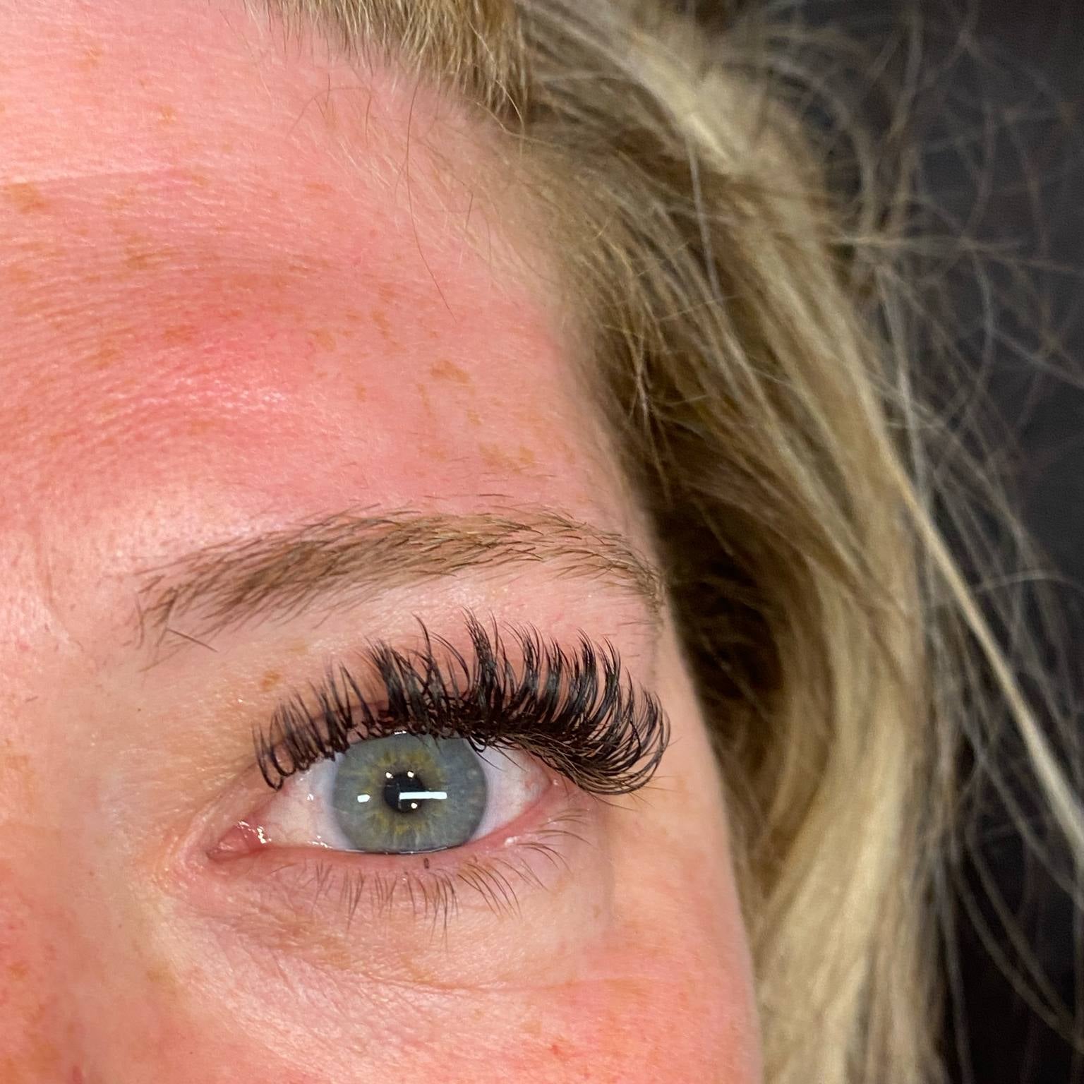 ladybuglashes lashglue lashtrays lashadhesive glueretention cloverlashes wlashes yylashes premades promades lashes