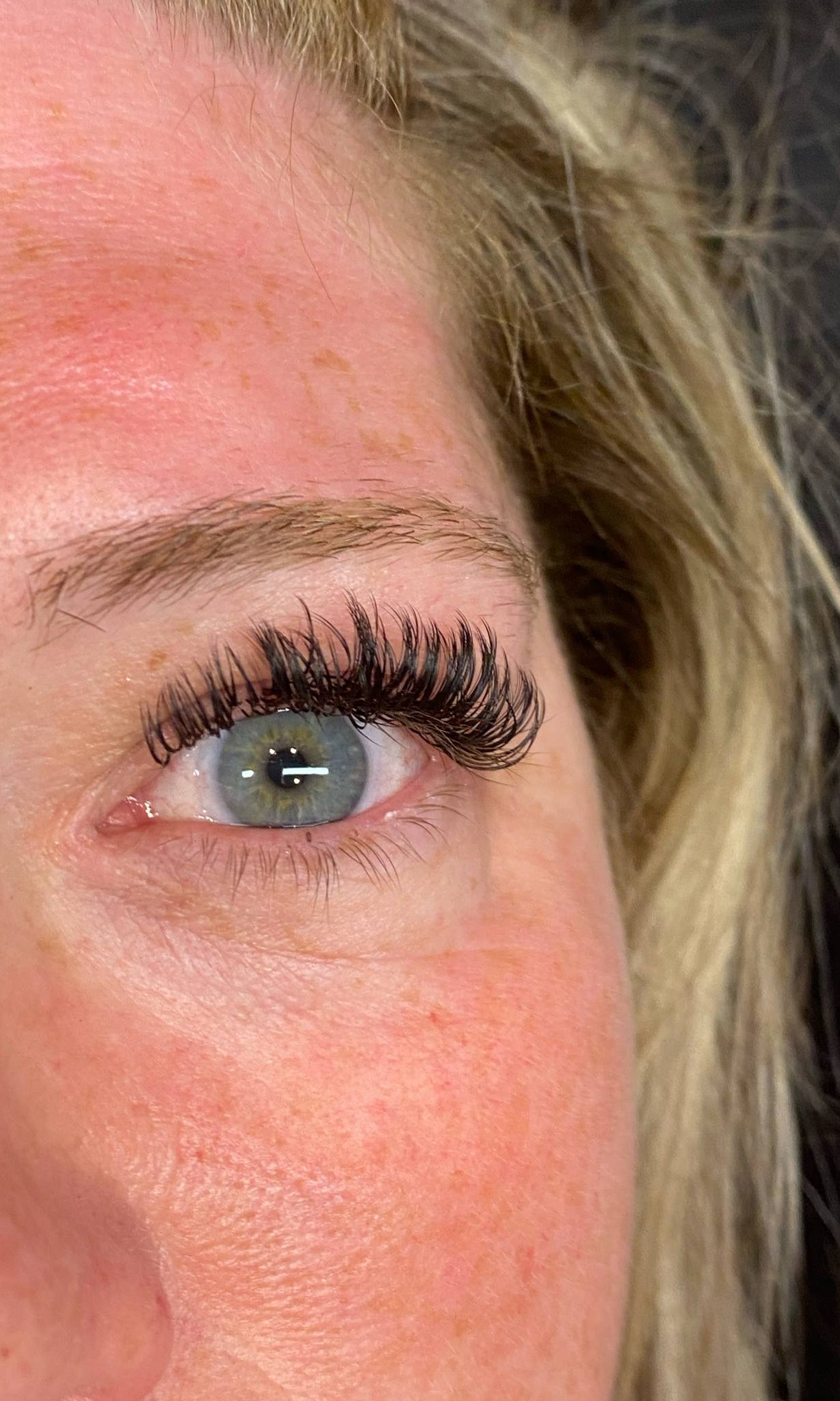 ladybuglashes lashglue lashtrays lashadhesive glueretention cloverlashes wlashes yylashes premades promades lashes