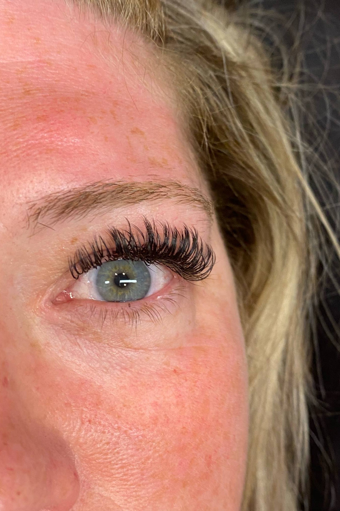 ladybuglashes lashglue lashtrays lashadhesive glueretention cloverlashes wlashes yylashes premades promades lashes