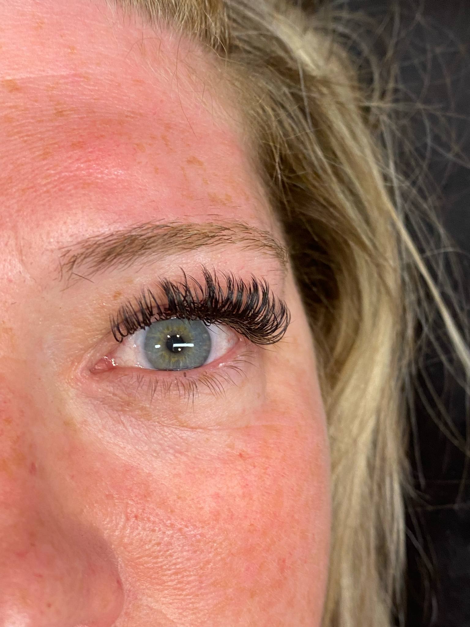 ladybuglashes lashglue lashtrays lashadhesive glueretention cloverlashes wlashes yylashes premades promades lashes