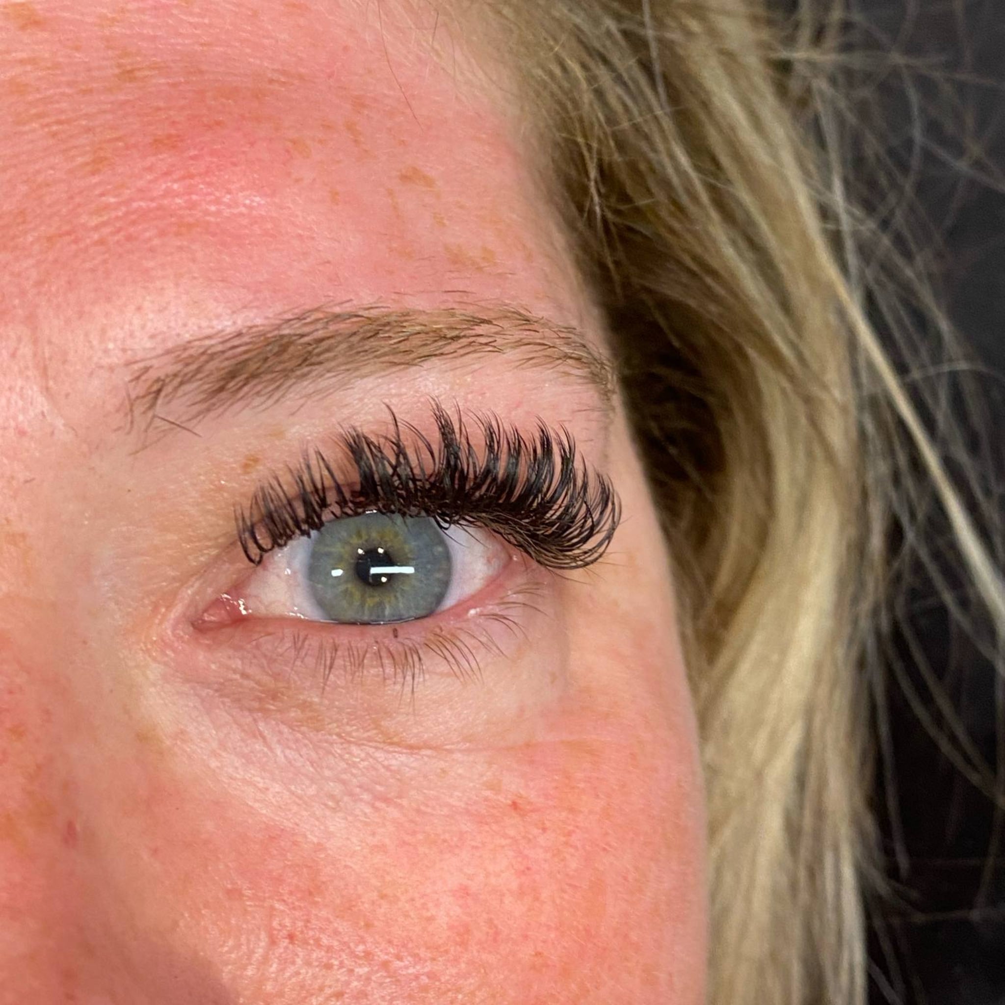 ladybuglashes lashglue lashtrays lashadhesive glueretention cloverlashes wlashes yylashes premades promades lashes