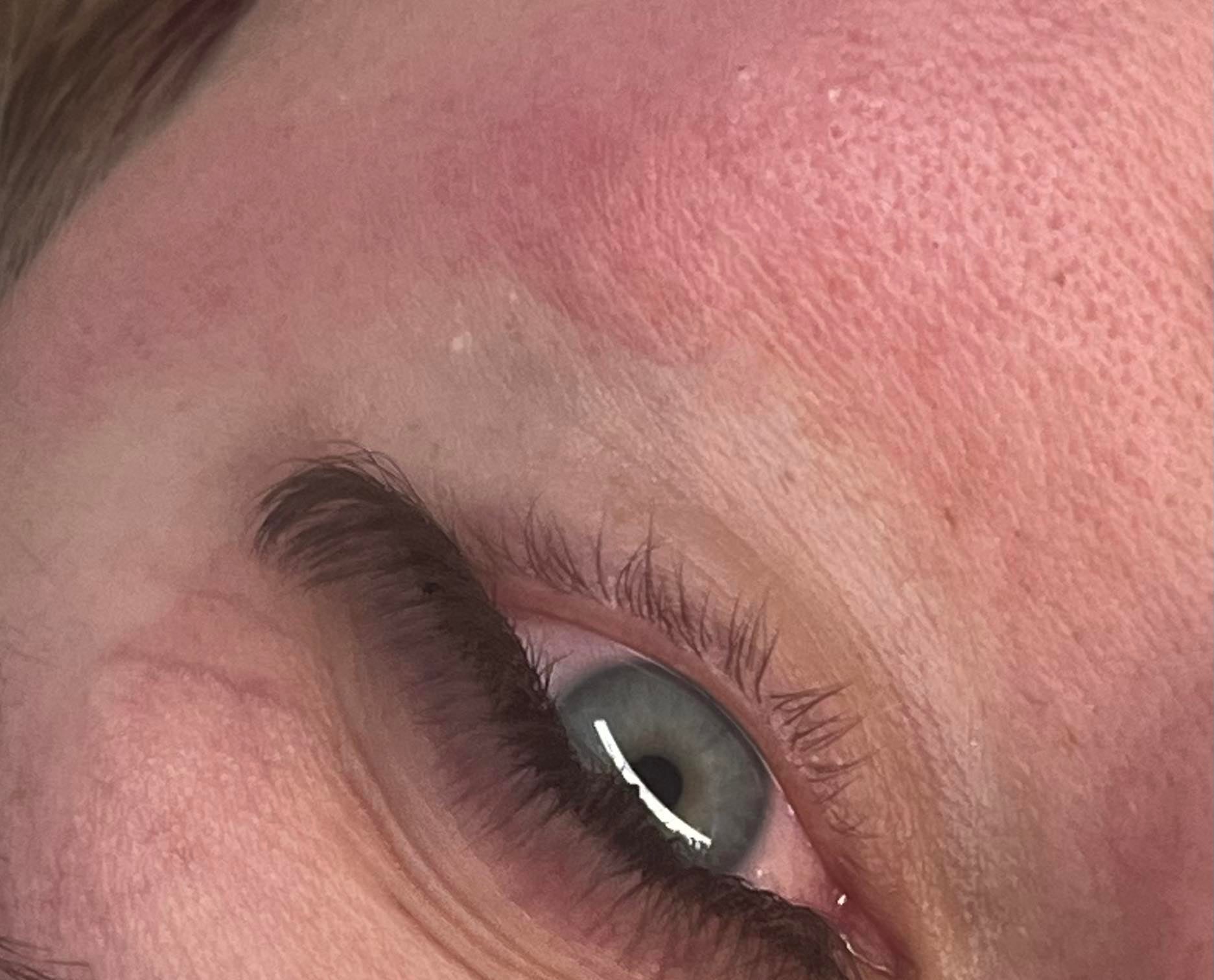 ladybuglashes lashglue lashtrays lashadhesive glueretention cloverlashes wlashes yylashes premades promades lashes