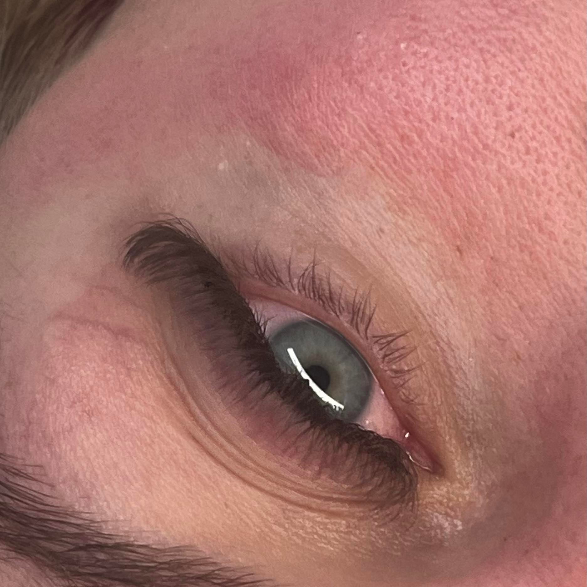 ladybuglashes lashglue lashtrays lashadhesive glueretention cloverlashes wlashes yylashes premades promades lashes