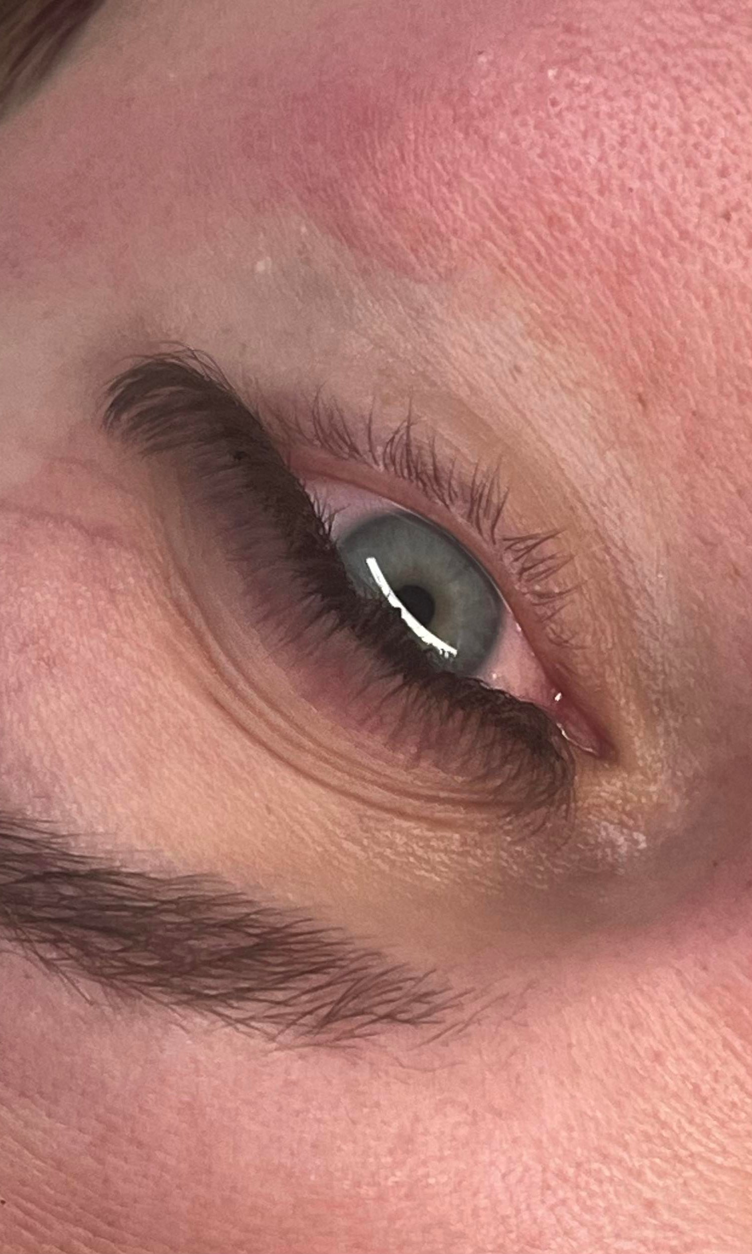 ladybuglashes lashglue lashtrays lashadhesive glueretention cloverlashes wlashes yylashes premades promades lashes