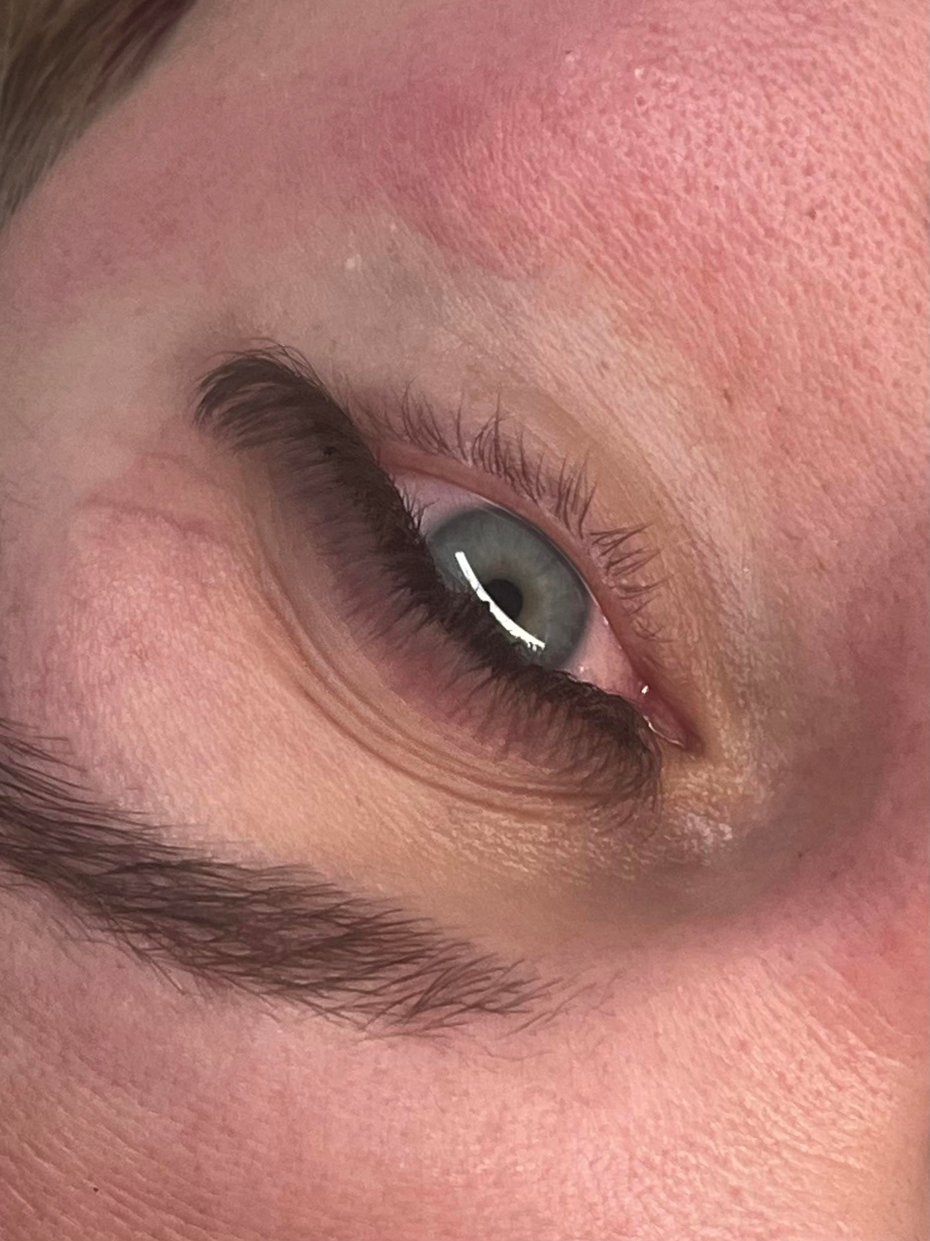 ladybuglashes lashglue lashtrays lashadhesive glueretention cloverlashes wlashes yylashes premades promades lashes