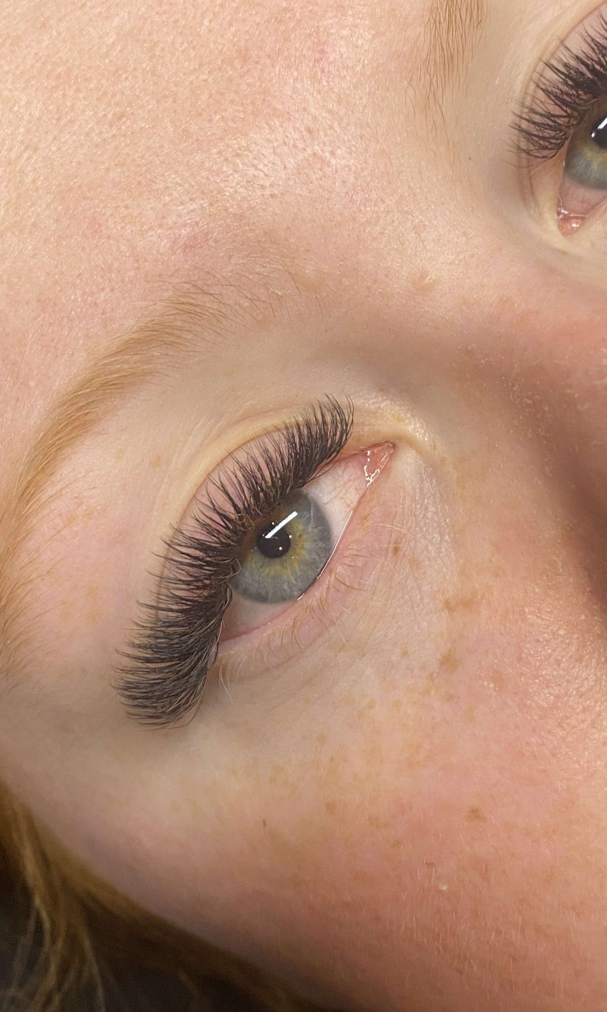 ladybuglashes lashglue lashtrays lashadhesive glueretention cloverlashes wlashes yylashes premades promades lashes