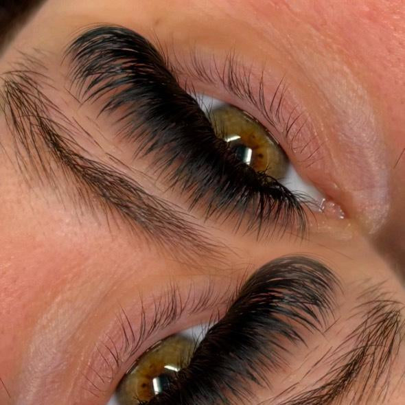 ladybuglashes lashglue lashtrays lashadhesive glueretention cloverlashes wlashes yylashes premades promades lashes