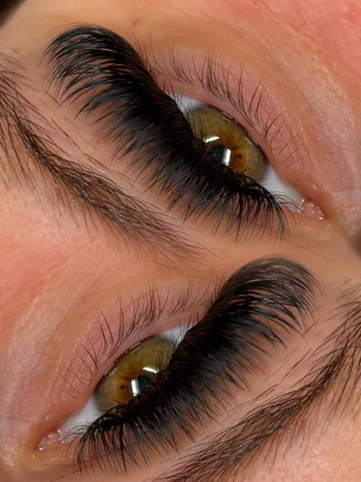 ladybuglashes lashglue lashtrays lashadhesive glueretention cloverlashes wlashes yylashes premades promades lashes