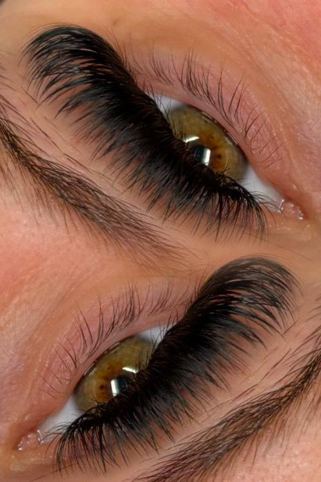 ladybuglashes lashglue lashtrays lashadhesive glueretention cloverlashes wlashes yylashes premades promades lashes