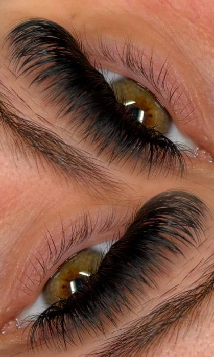 ladybuglashes lashglue lashtrays lashadhesive glueretention cloverlashes wlashes yylashes premades promades lashes