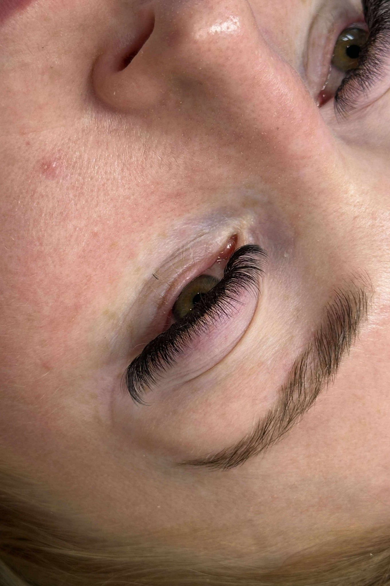 ladybuglashes lashglue lashtrays lashadhesive glueretention cloverlashes wlashes yylashes premades promades lashes