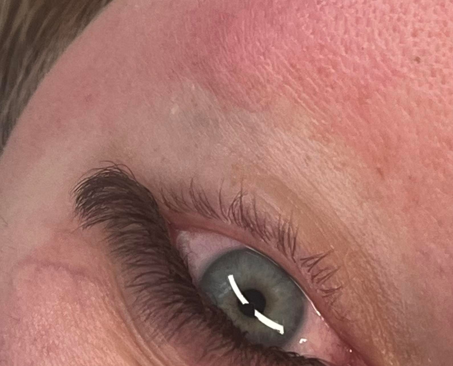 ladybuglashes lashglue lashtrays lashadhesive glueretention cloverlashes wlashes yylashes premades promades lashes