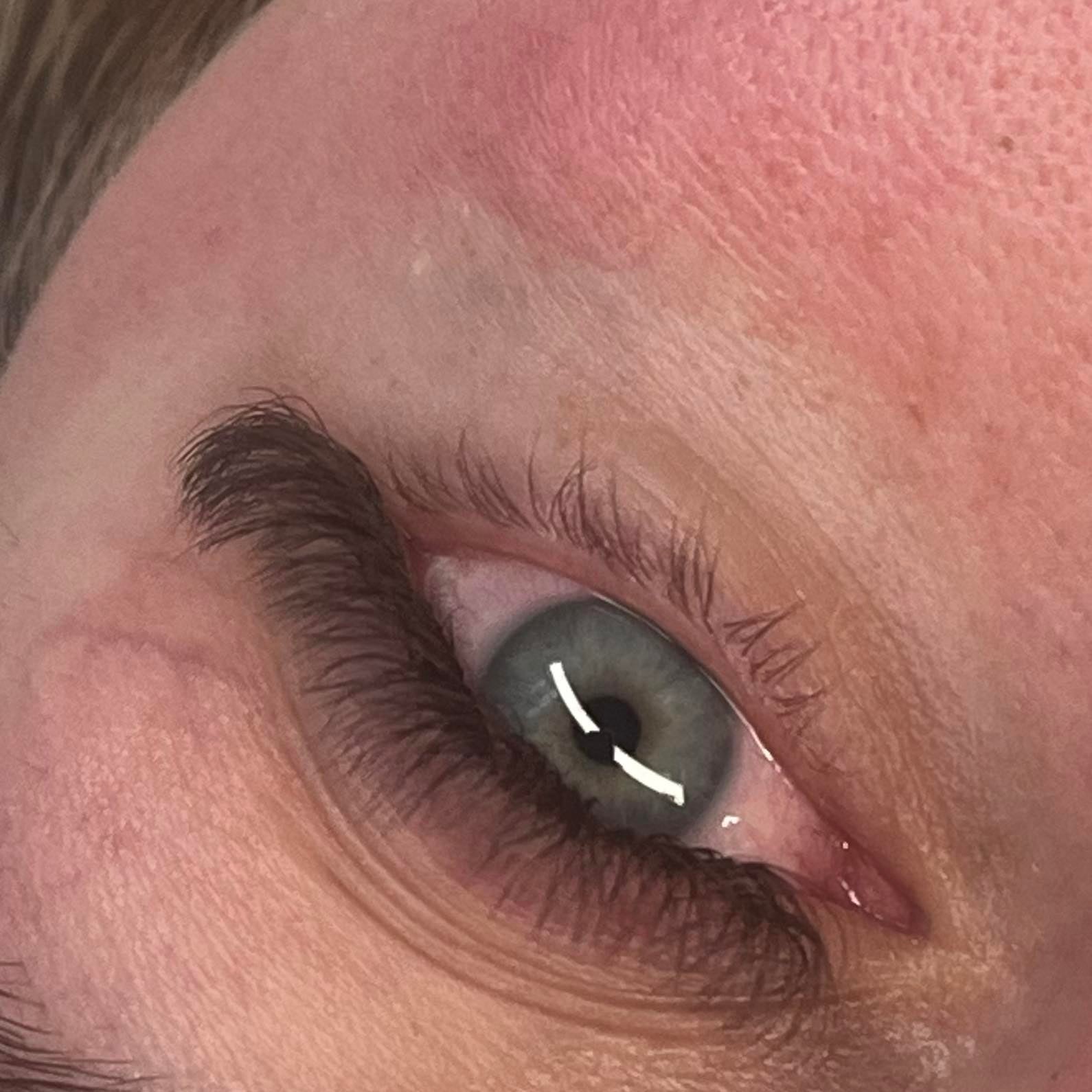 ladybuglashes lashglue lashtrays lashadhesive glueretention cloverlashes wlashes yylashes premades promades lashes