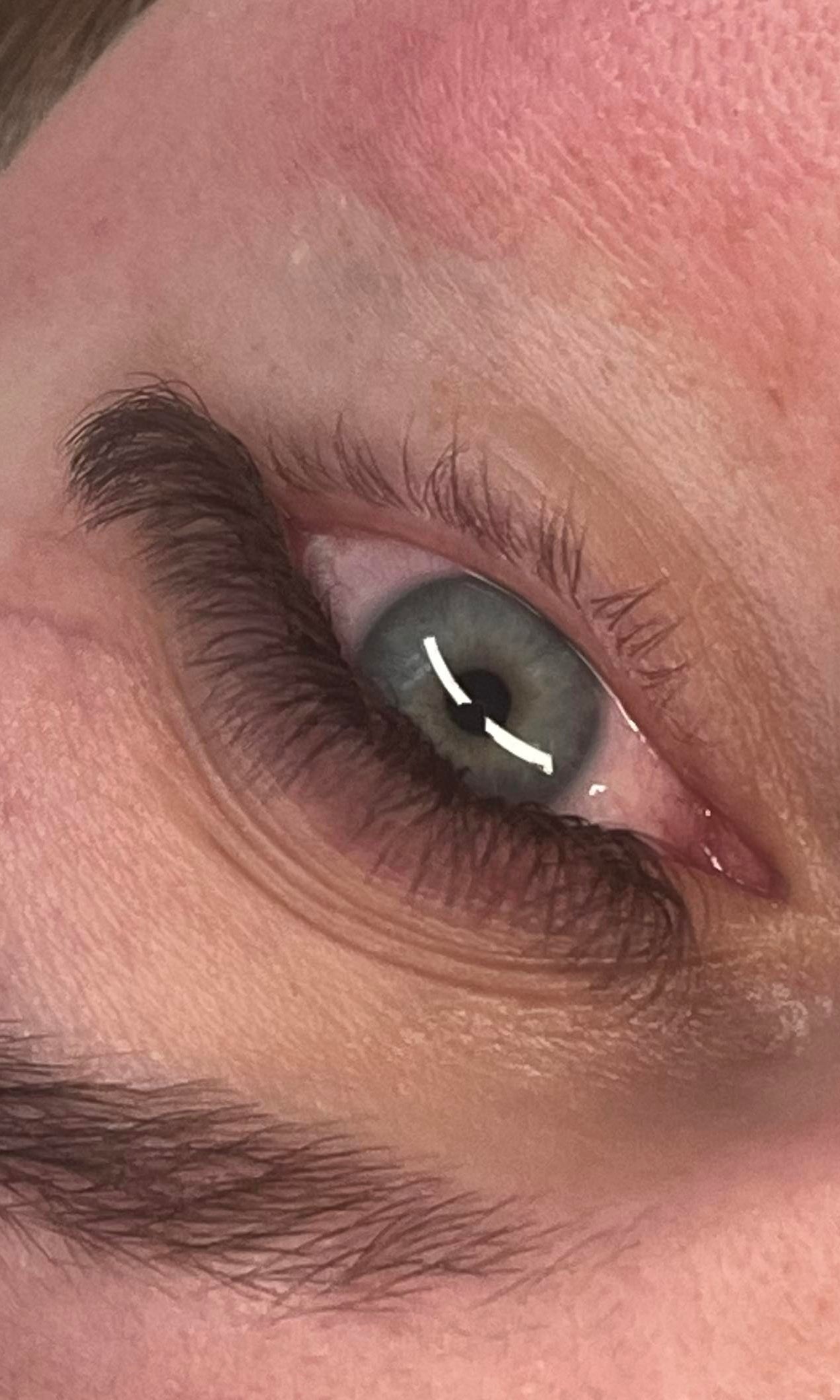 ladybuglashes lashglue lashtrays lashadhesive glueretention cloverlashes wlashes yylashes premades promades lashes