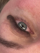 ladybuglashes lashglue lashtrays lashadhesive glueretention cloverlashes wlashes yylashes premades promades lashes