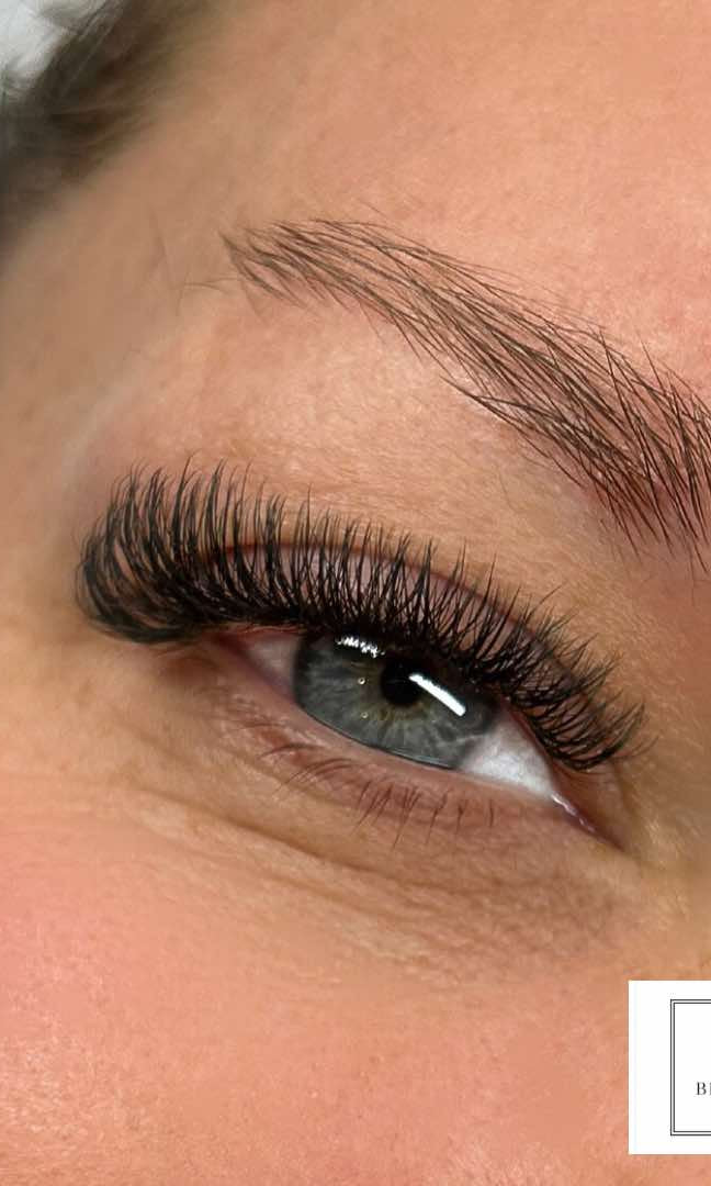 ladybuglashes lashglue lashtrays lashadhesive glueretention cloverlashes wlashes yylashes premades promades lashes