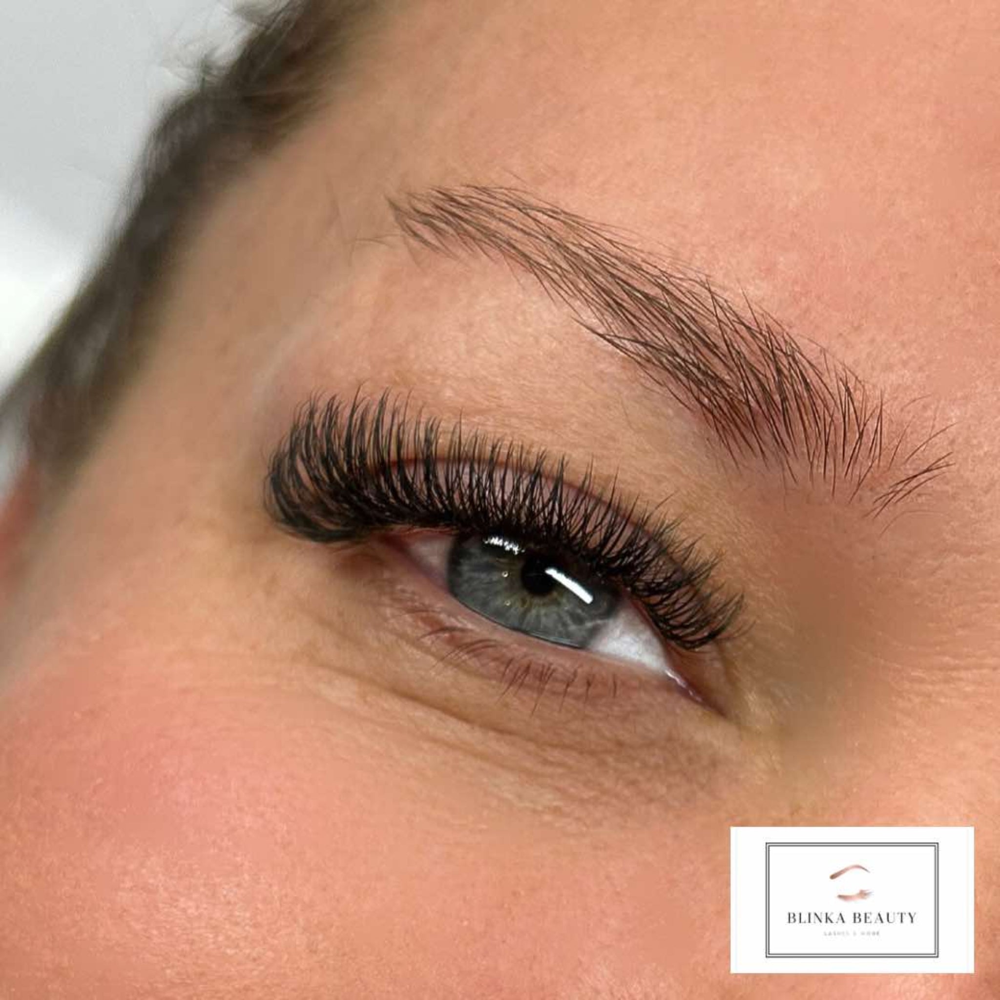ladybuglashes lashglue lashtrays lashadhesive glueretention cloverlashes wlashes yylashes premades promades lashes