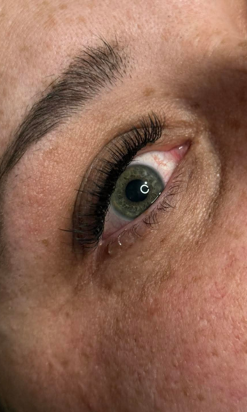 ladybuglashes lashglue lashtrays lashadhesive glueretention cloverlashes wlashes yylashes premades promades lashes