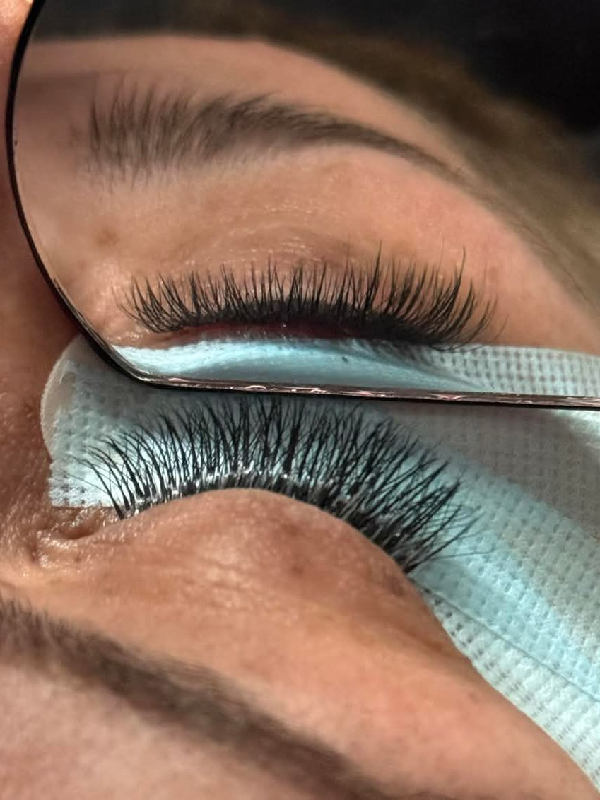 ladybuglashes lashglue lashtrays lashadhesive glueretention cloverlashes wlashes yylashes premades promades lashes