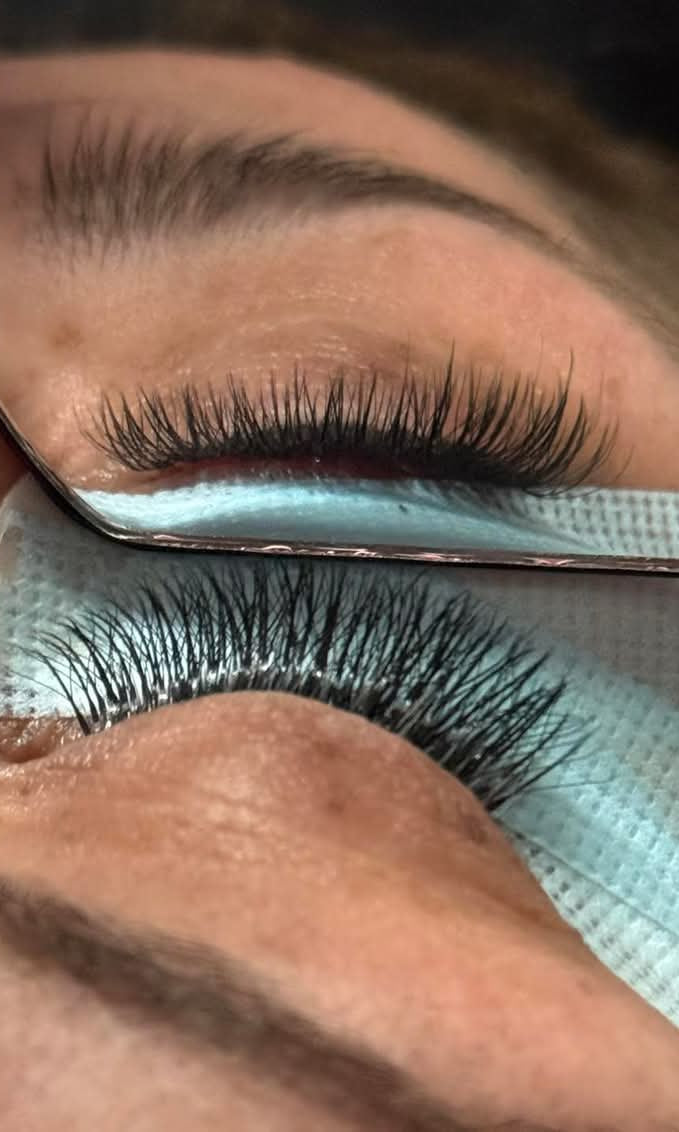 ladybuglashes lashglue lashtrays lashadhesive glueretention cloverlashes wlashes yylashes premades promades lashes