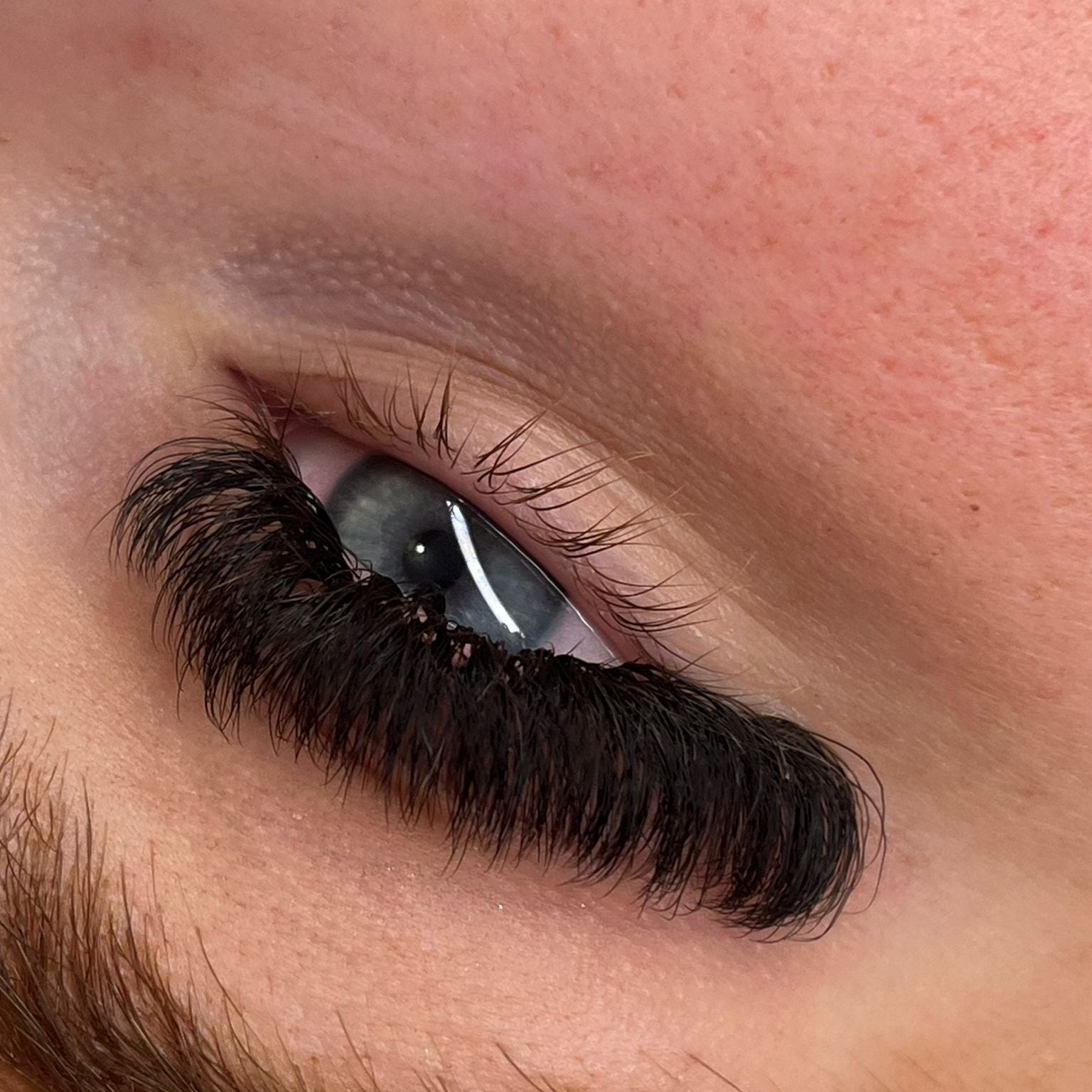 10D Clover Lashes 16 row mixed box