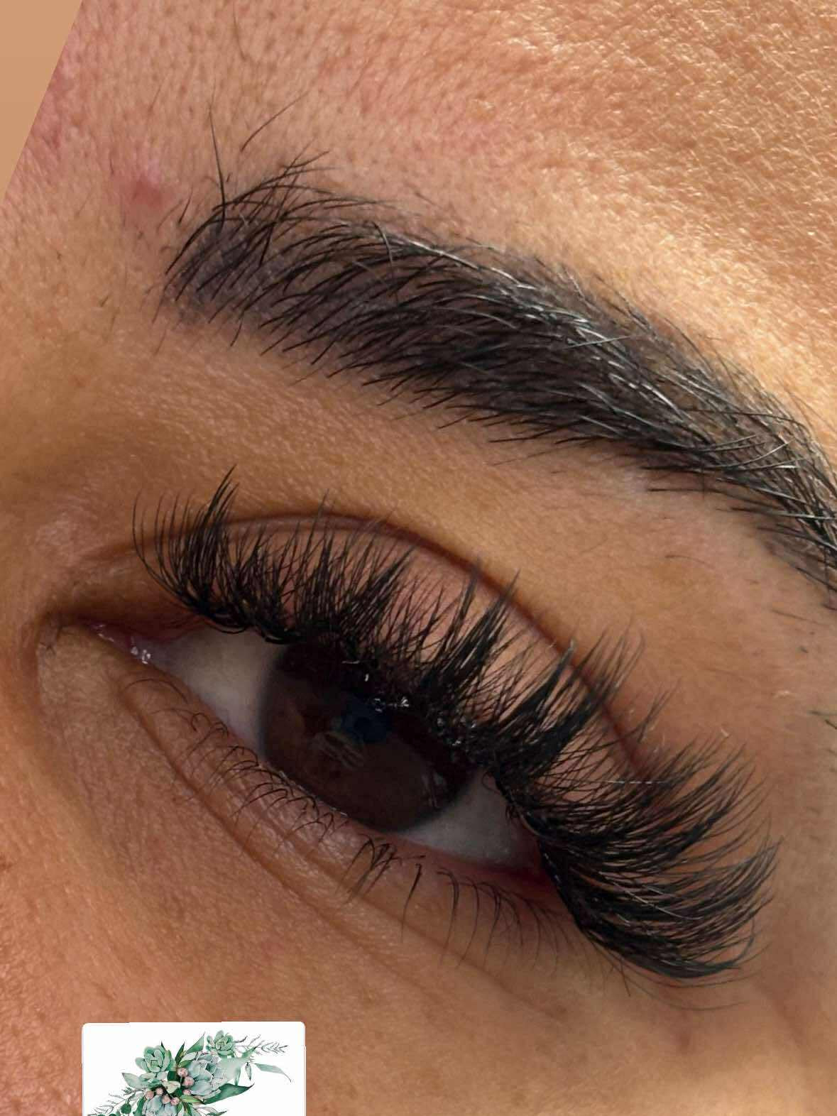 ladybuglashes lashglue lashtrays lashadhesive glueretention cloverlashes wlashes yylashes premades promades lashes