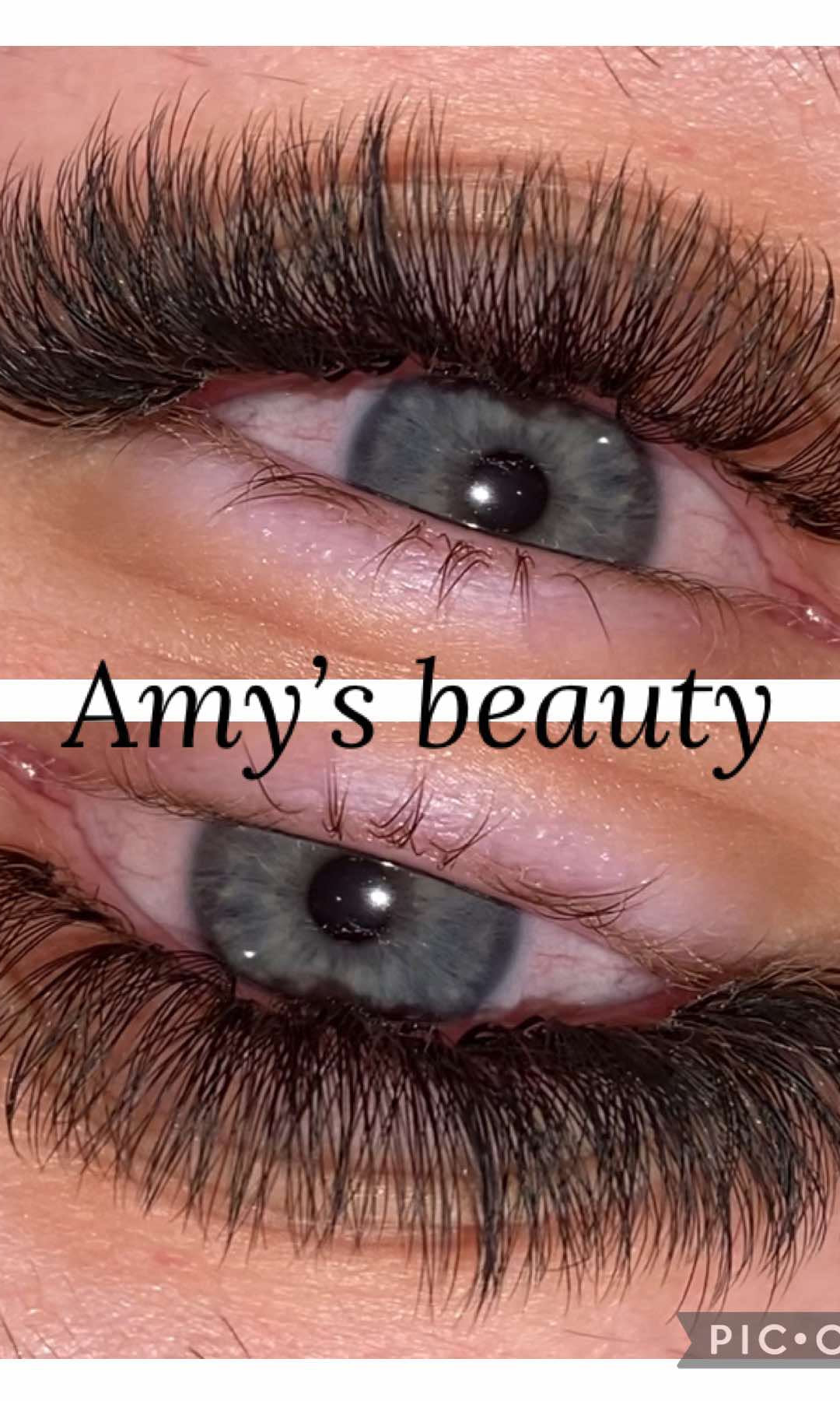 ladybuglashes lashglue lashtrays lashadhesive glueretention cloverlashes wlashes yylashes premades promades lashes