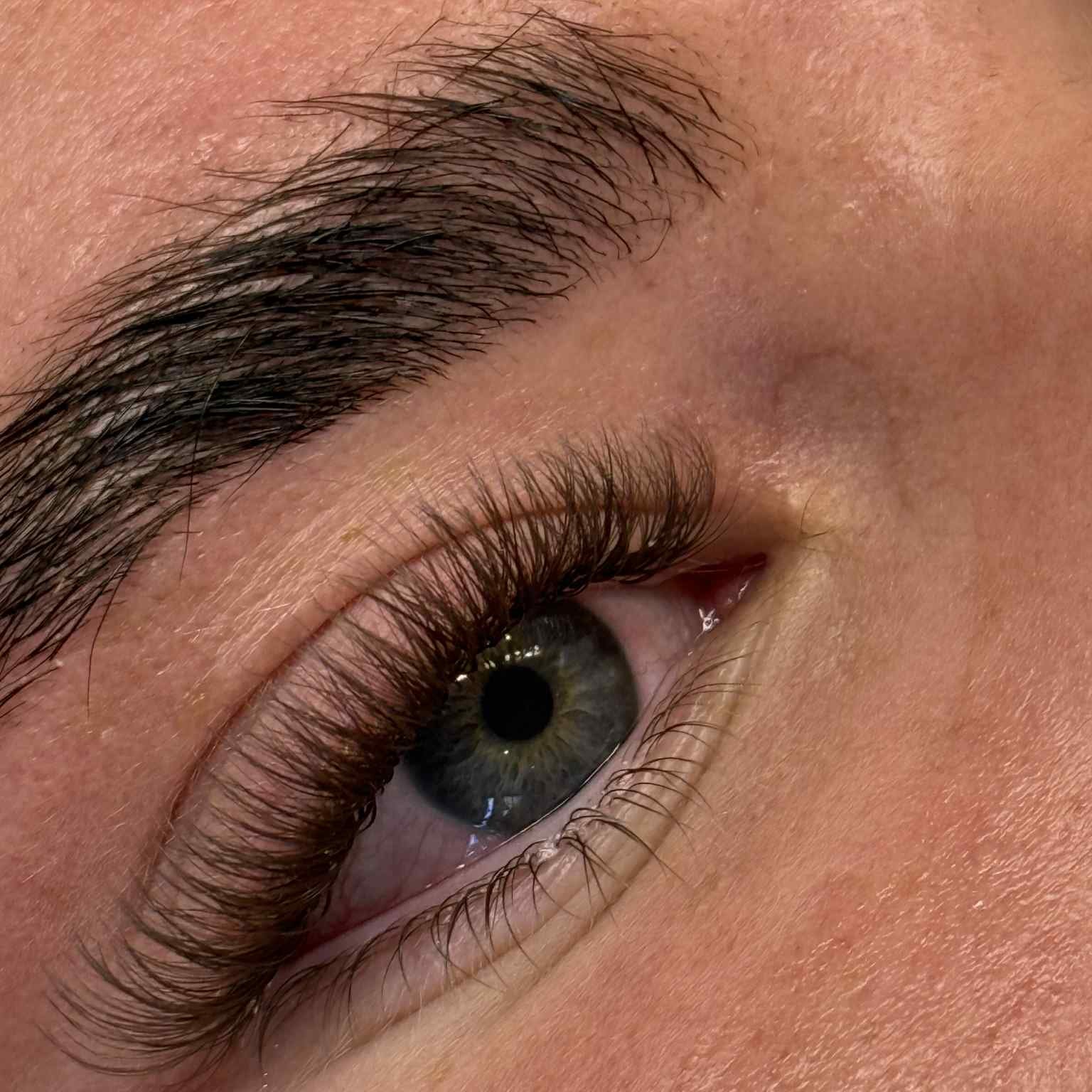 ladybuglashes lashglue lashtrays lashadhesive glueretention cloverlashes wlashes yylashes premades promades lashes