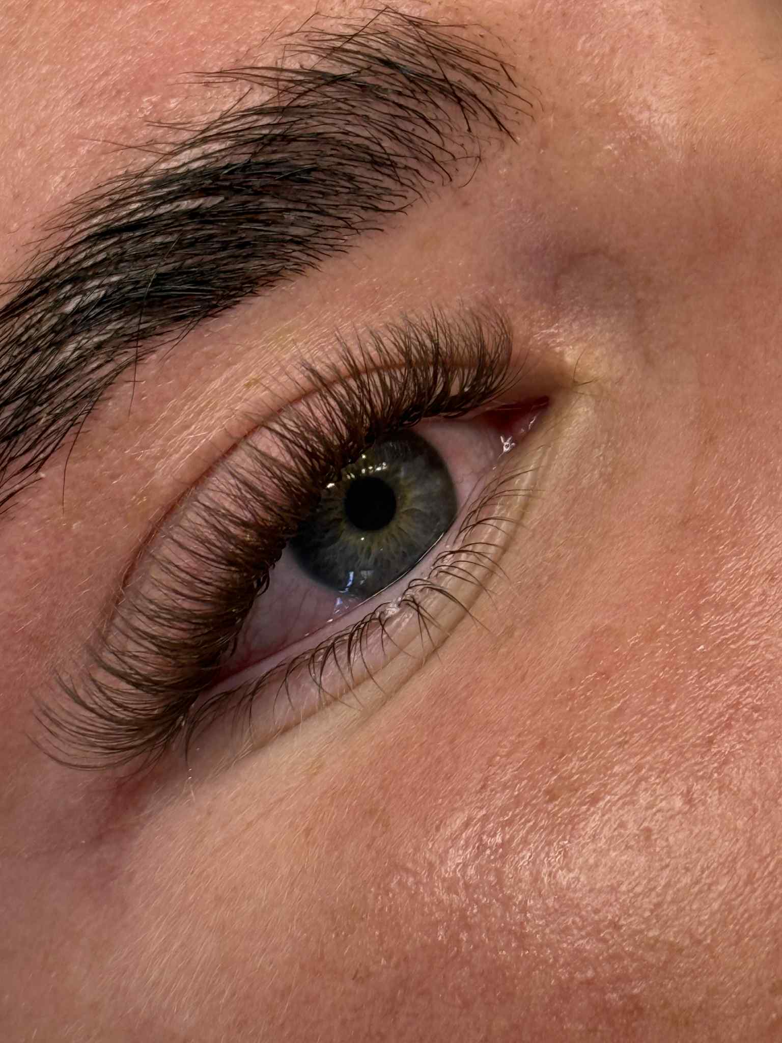 ladybuglashes lashglue lashtrays lashadhesive glueretention cloverlashes wlashes yylashes premades promades lashes