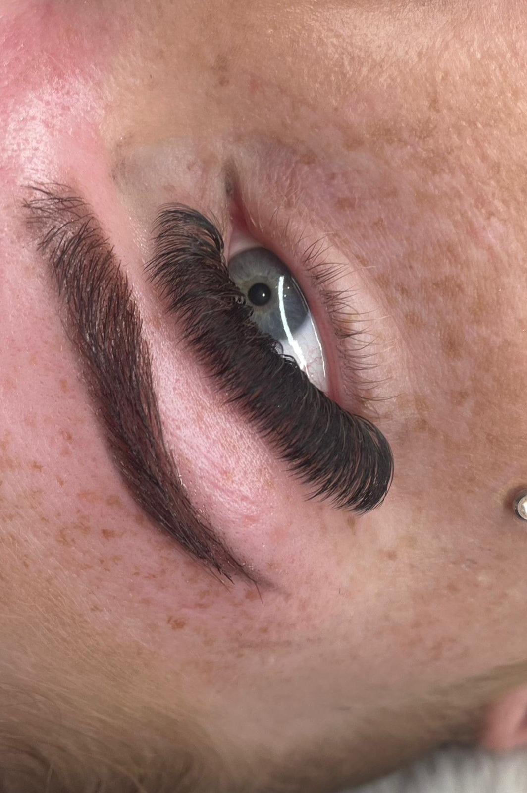 ladybuglashes lashglue lashtrays lashadhesive glueretention cloverlashes wlashes yylashes premades promades lashes