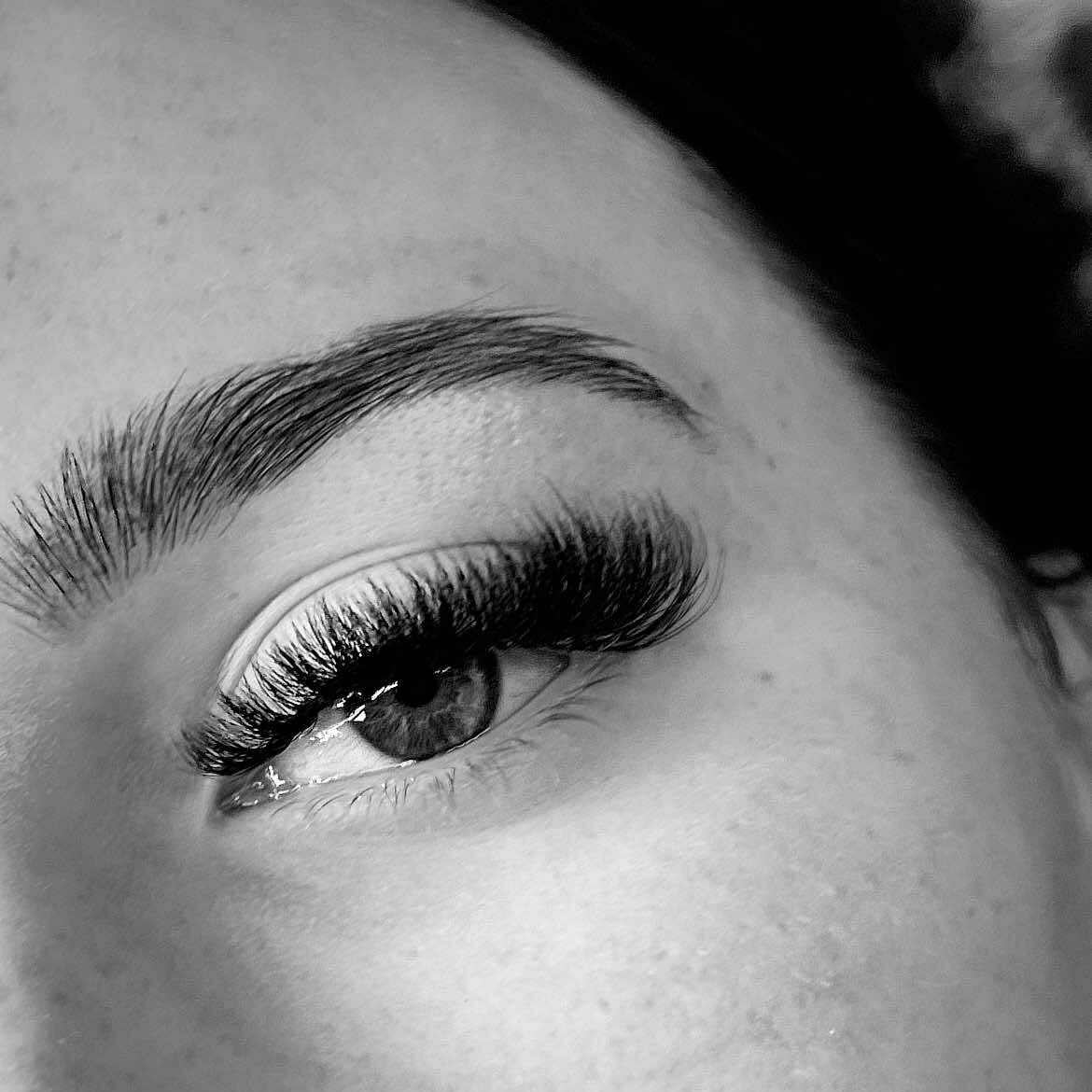 8D Clover Lashes 16 row mixed tray