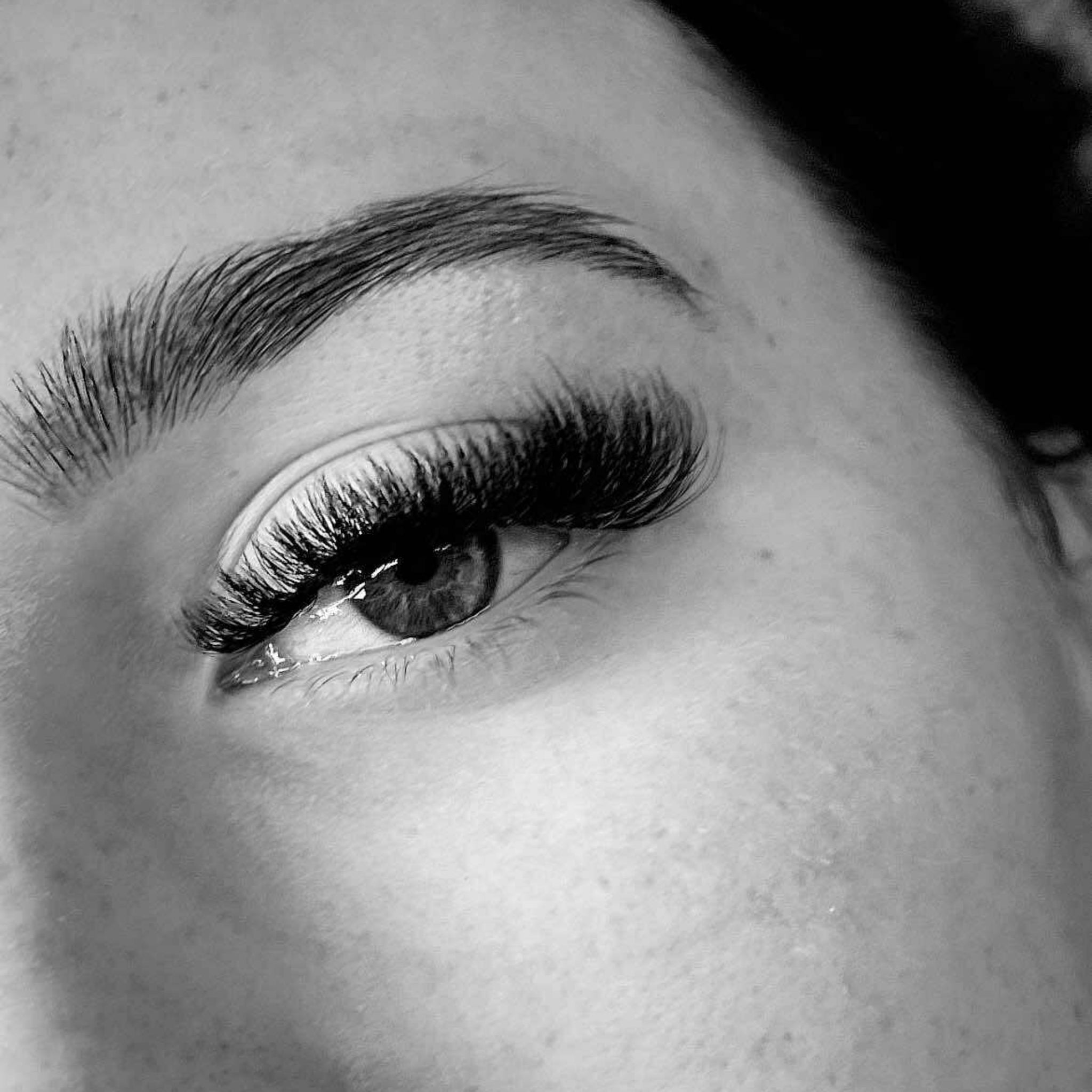8D Clover Lashes 16 row mixed tray