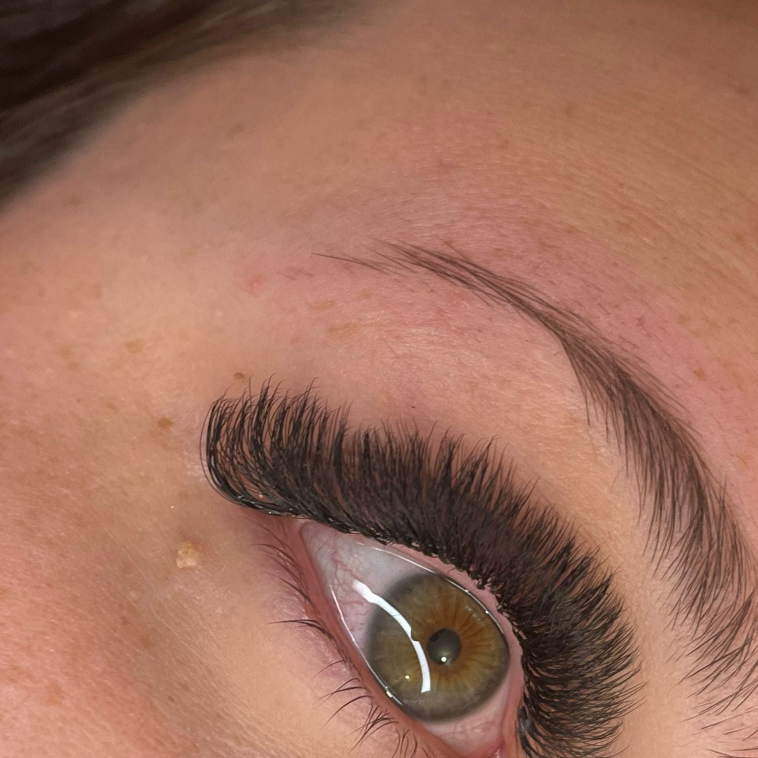 8D Clover Lashes 16 row mixed tray