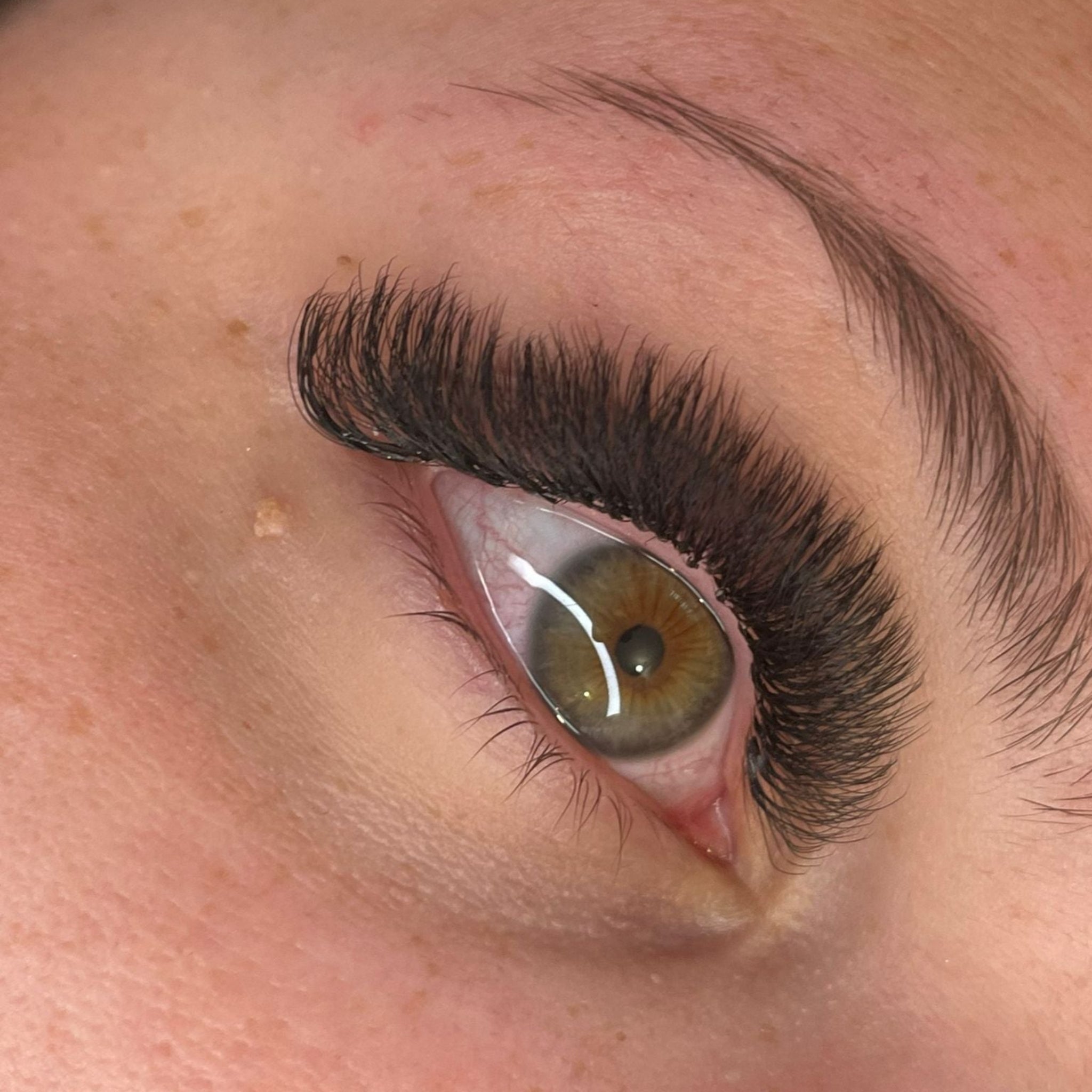 8D Clover Lashes 16 row mixed tray