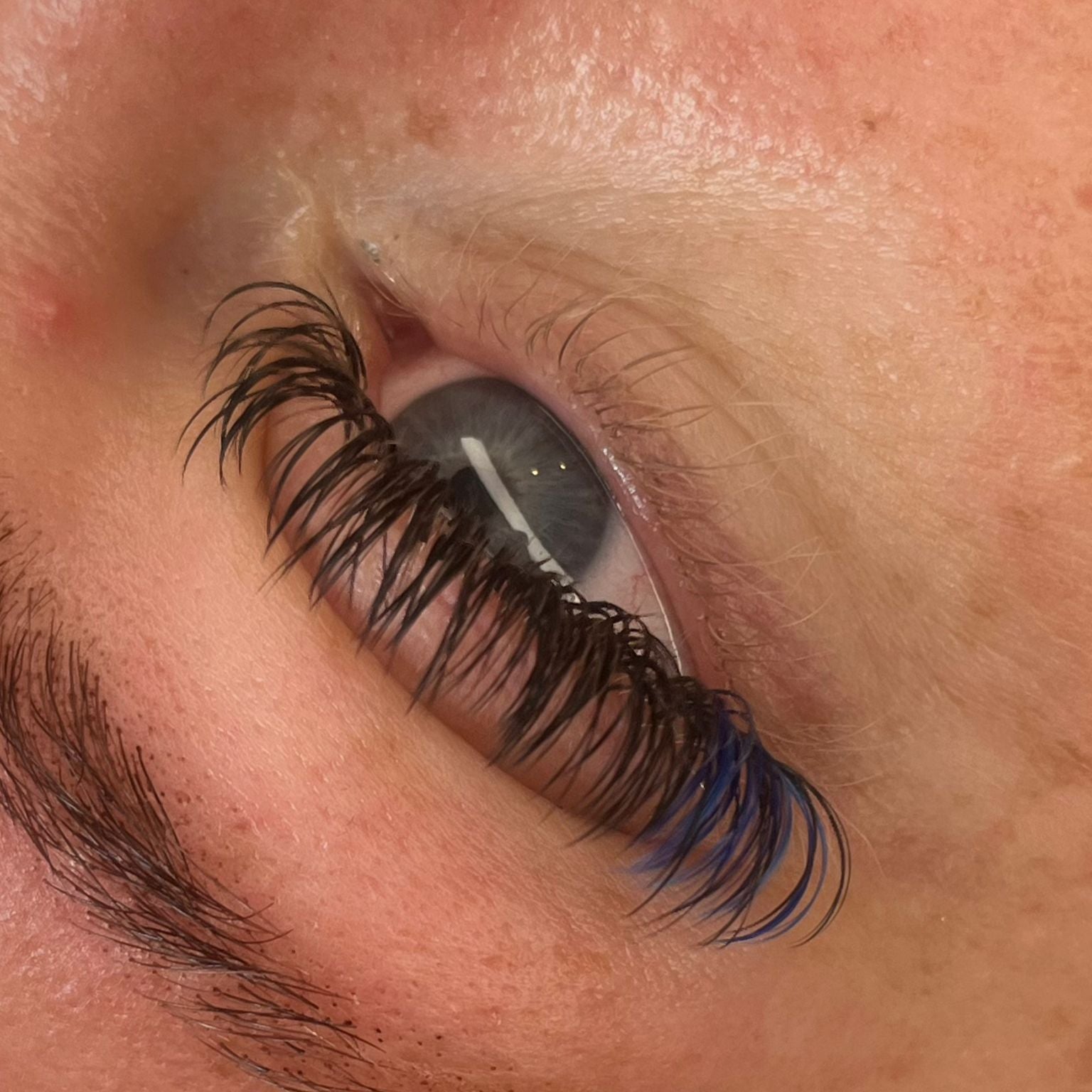 🌈 Bold Colour Volume Lashes 🌈 0.05mm 5-Row Tray 10–14mm Mix