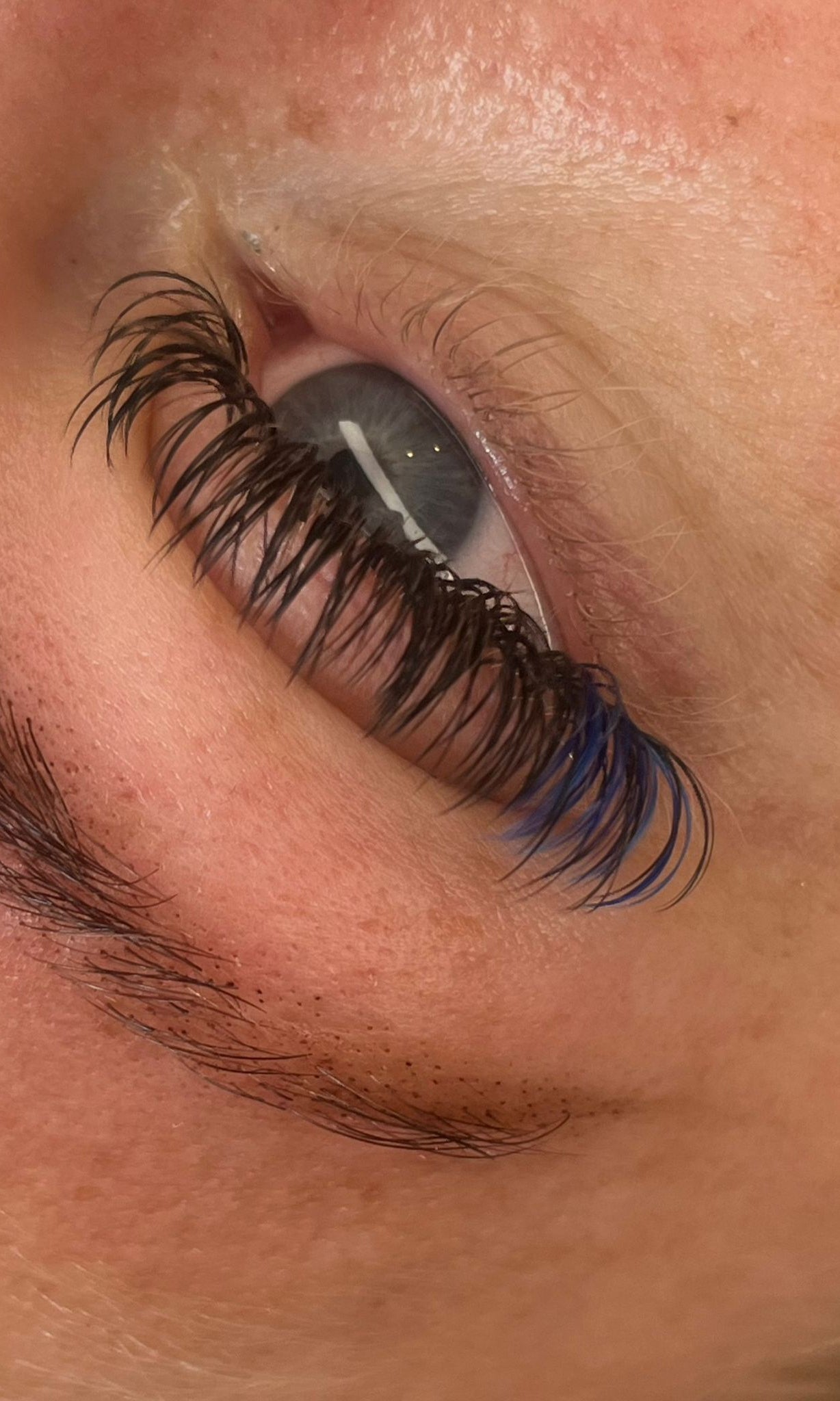 🌈 Bold Colour Volume Lashes 🌈 0.05mm 5-Row Tray 10–14mm Mix