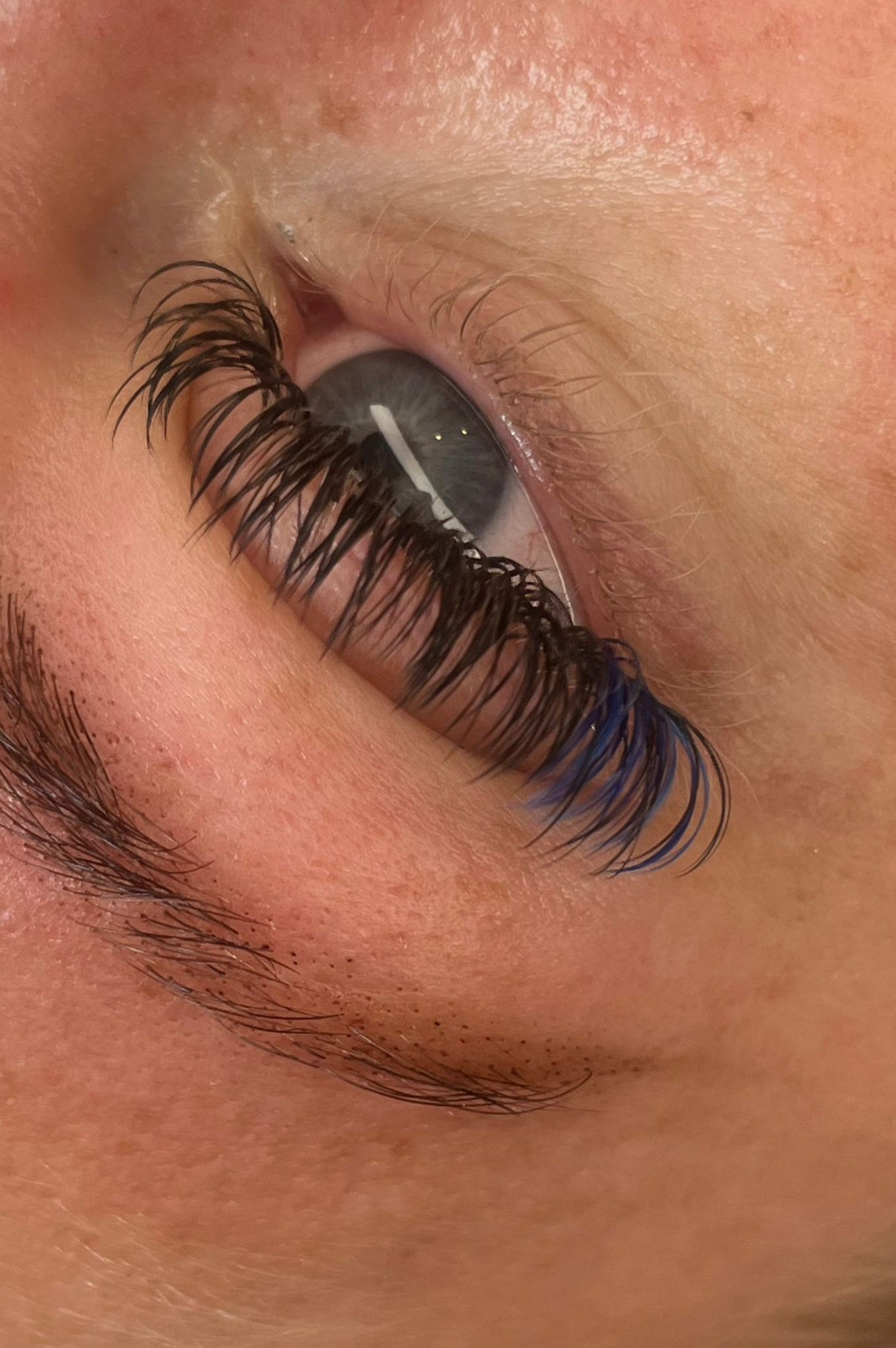 🌈 Bold Colour Volume Lashes 🌈 0.05mm 5-Row Tray 10–14mm Mix