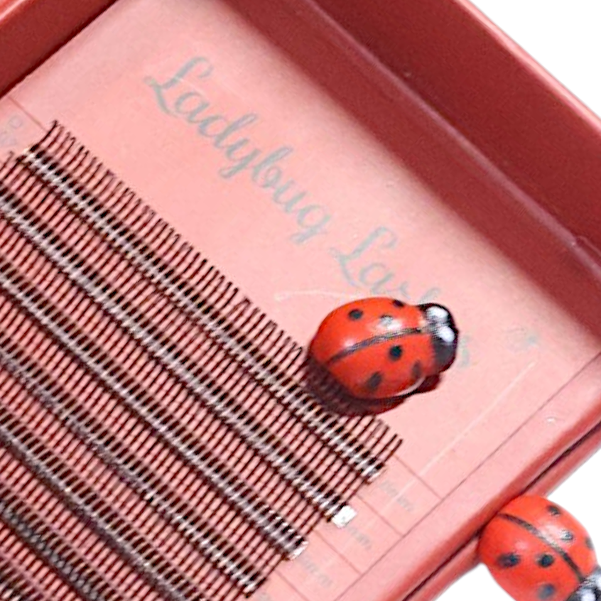 Ladybug Lashes Brown Angel Lash 16 Row Mixed Tray close-up overhead shot showing rows of warm brown angel lashes on a red branded tray insert with Ladybug Lashes script branding visible and a decorative ladybird prop resting on the lashes
