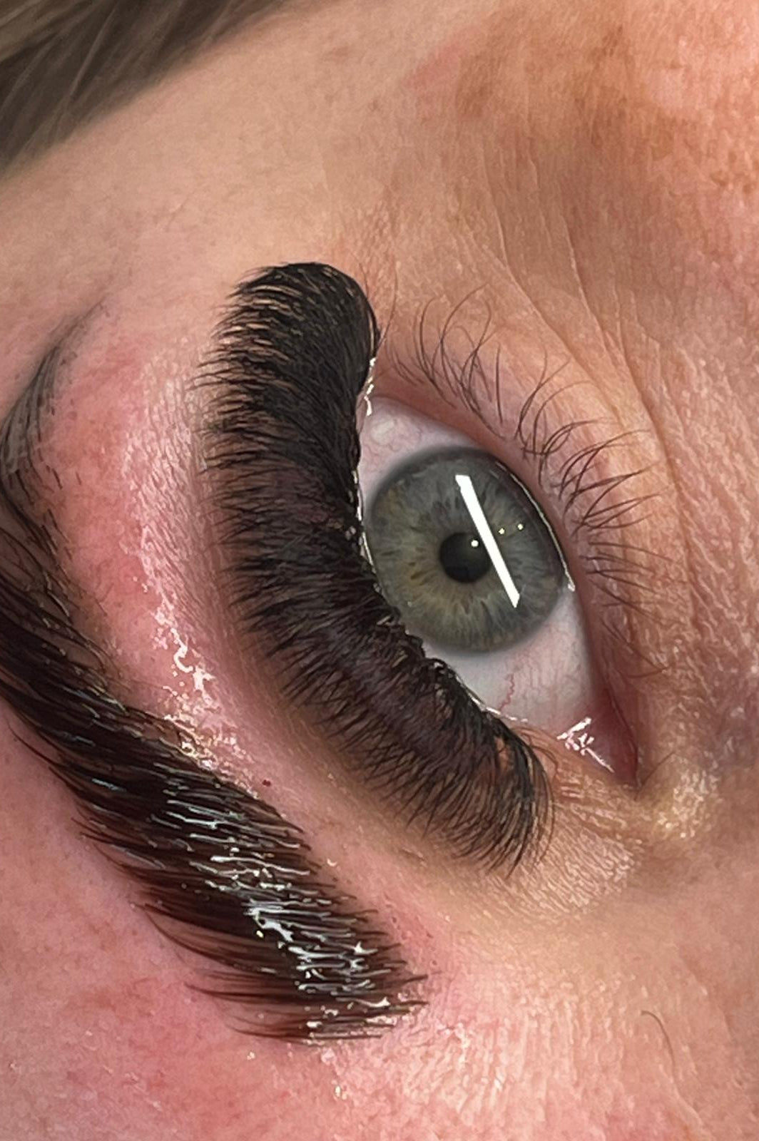 ladybuglashes lashglue lashtrays lashadhesive glueretention cloverlashes wlashes yylashes premades promades lashes