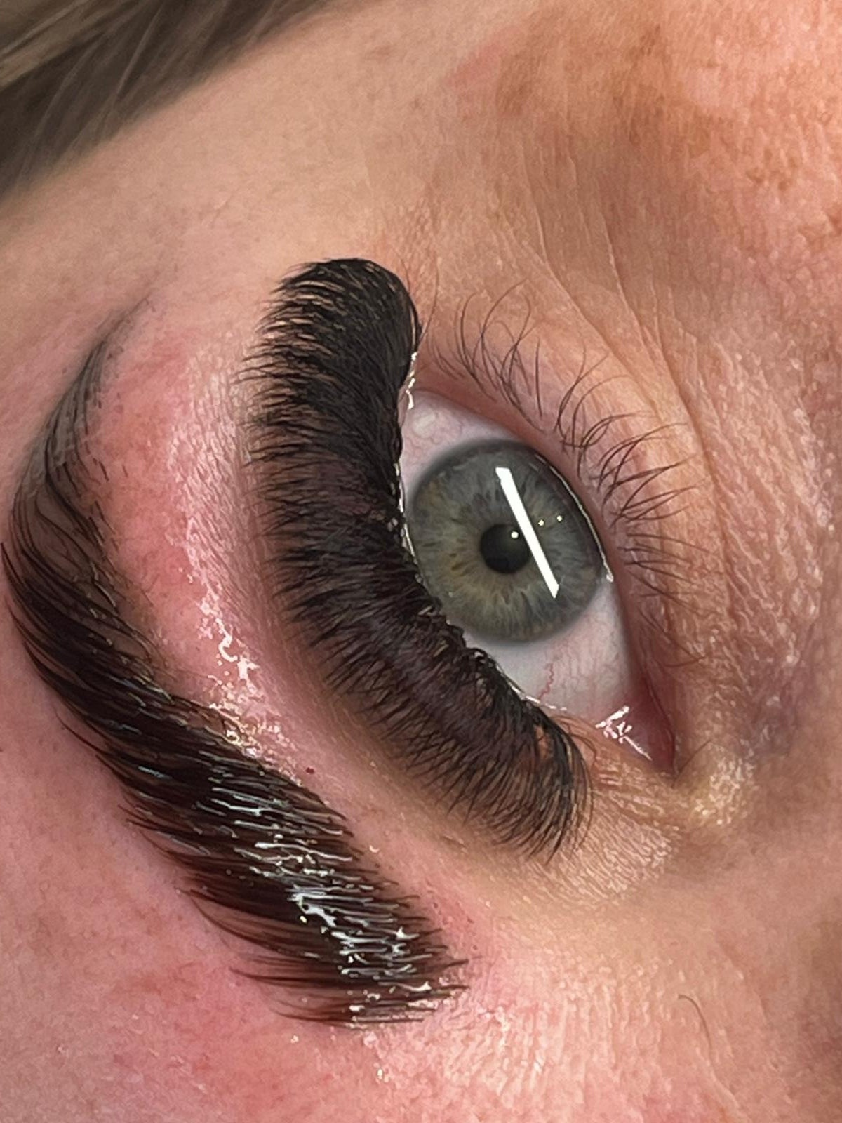 ladybuglashes lashglue lashtrays lashadhesive glueretention cloverlashes wlashes yylashes premades promades lashes