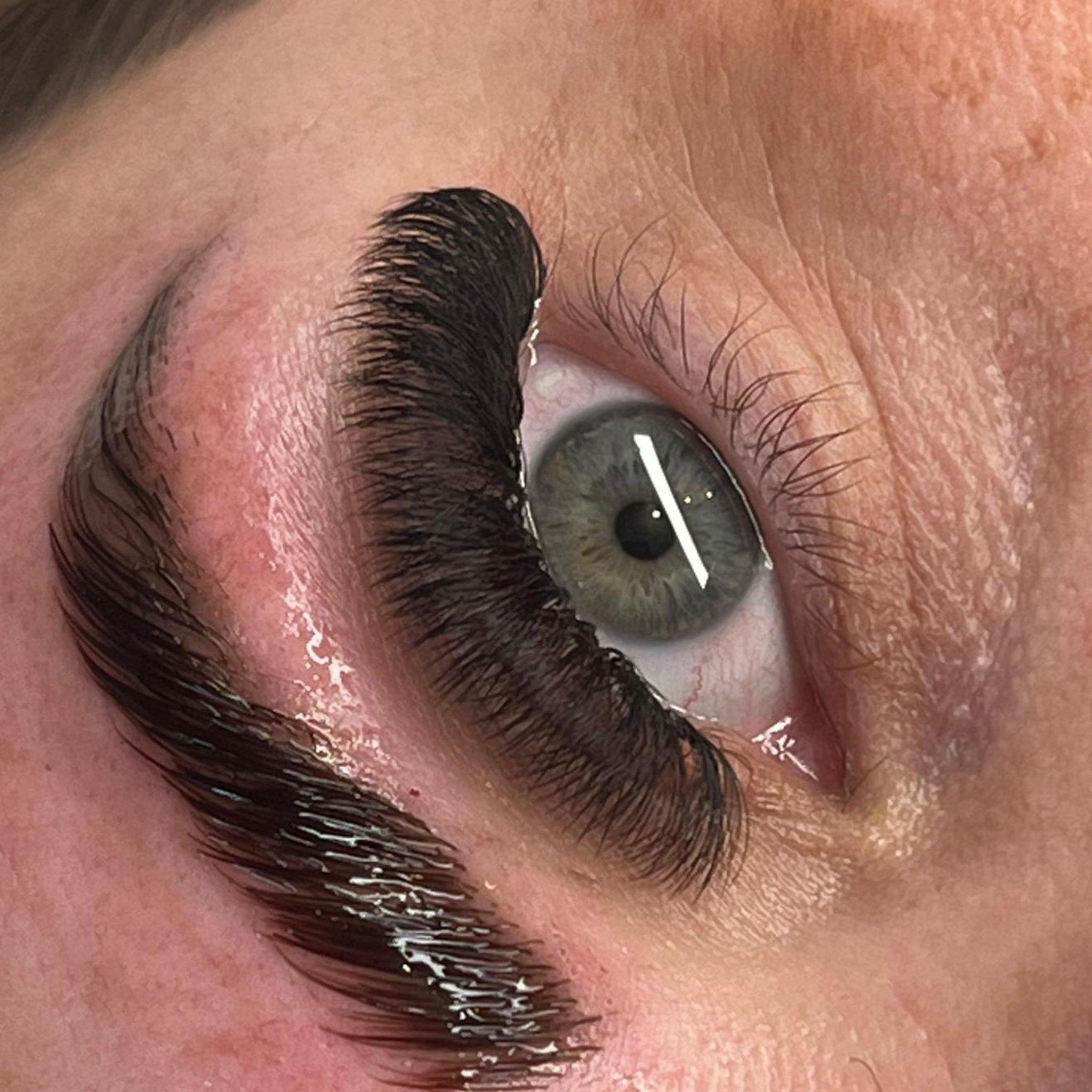 ladybuglashes lashglue lashtrays lashadhesive glueretention cloverlashes wlashes yylashes premades promades lashes