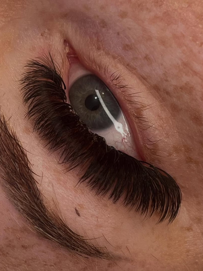 ladybuglashes lashglue lashtrays lashadhesive glueretention cloverlashes wlashes yylashes premades promades lashes