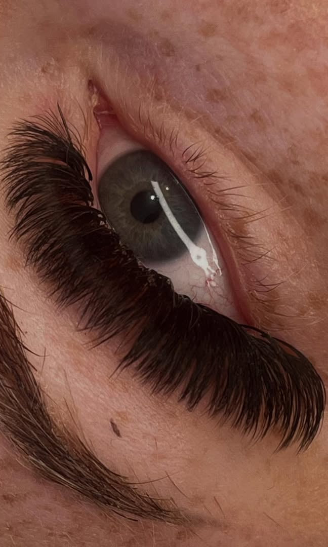 ladybuglashes lashglue lashtrays lashadhesive glueretention cloverlashes wlashes yylashes premades promades lashes