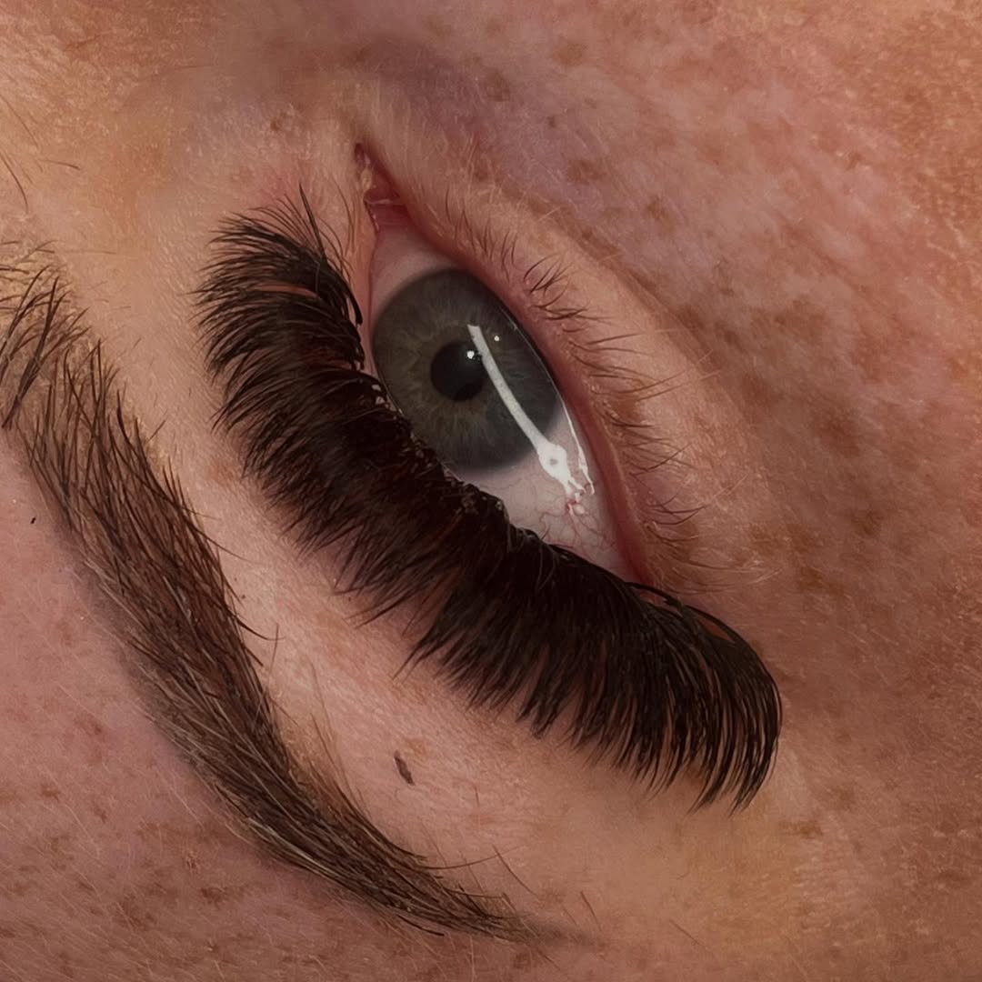 ladybuglashes lashglue lashtrays lashadhesive glueretention cloverlashes wlashes yylashes premades promades lashes