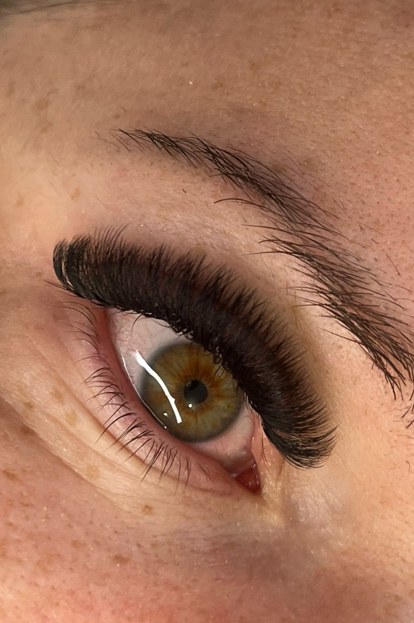 ladybuglashes lashglue lashtrays lashadhesive glueretention cloverlashes wlashes yylashes premades promades lashes