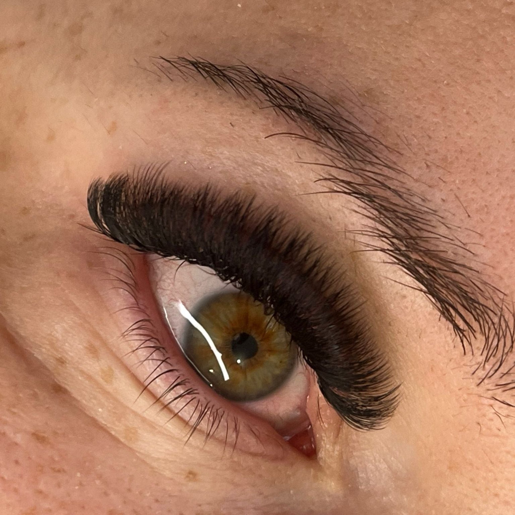 ladybuglashes lashglue lashtrays lashadhesive glueretention cloverlashes wlashes yylashes premades promades lashes