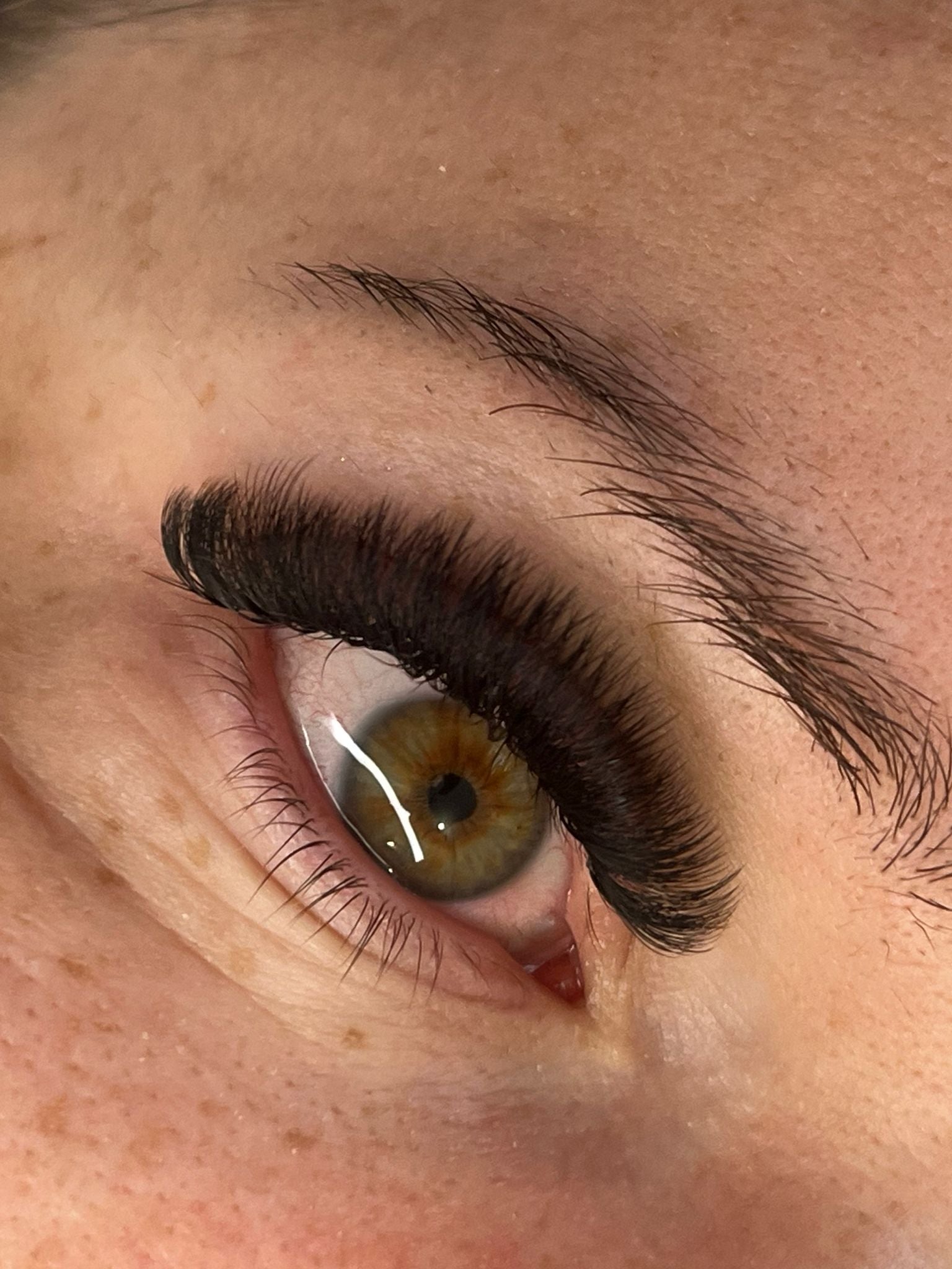 ladybuglashes lashglue lashtrays lashadhesive glueretention cloverlashes wlashes yylashes premades promades lashes