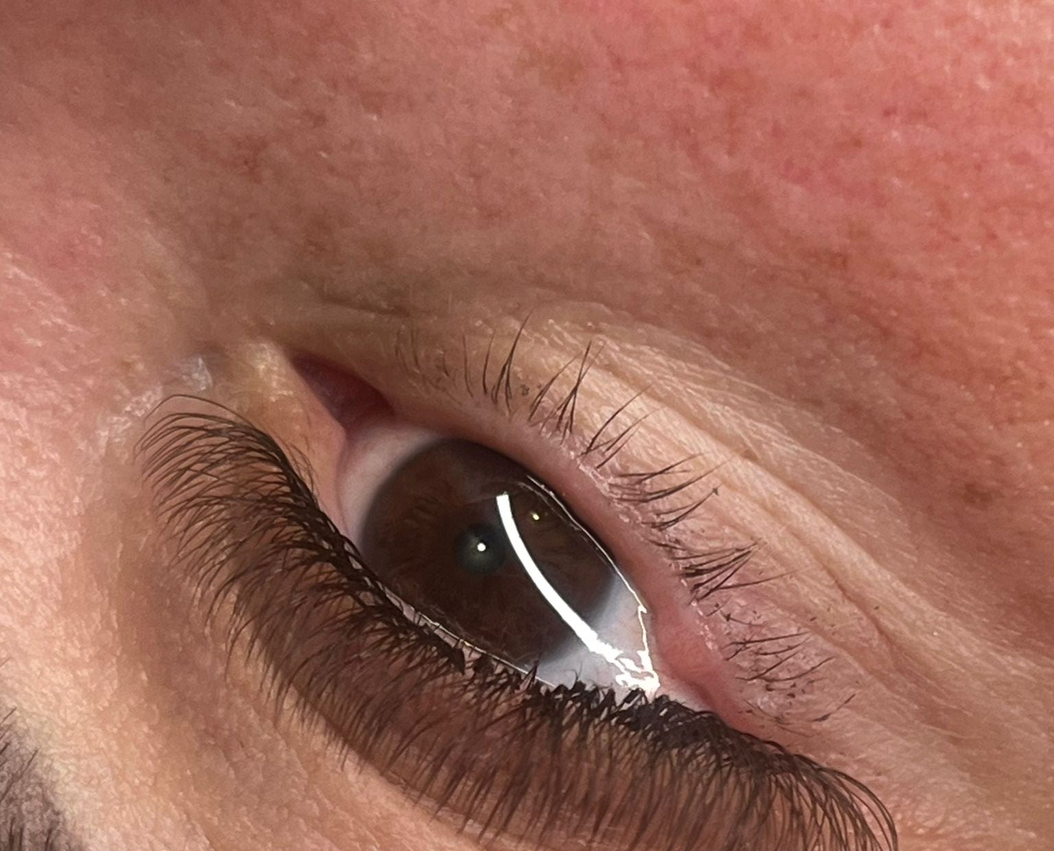 ladybuglashes lashglue lashtrays lashadhesive glueretention cloverlashes wlashes yylashes premades promades lashes